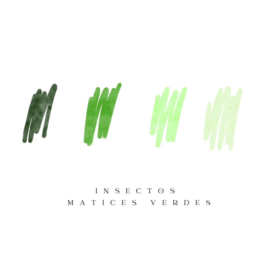 Matices cromáticos insectos