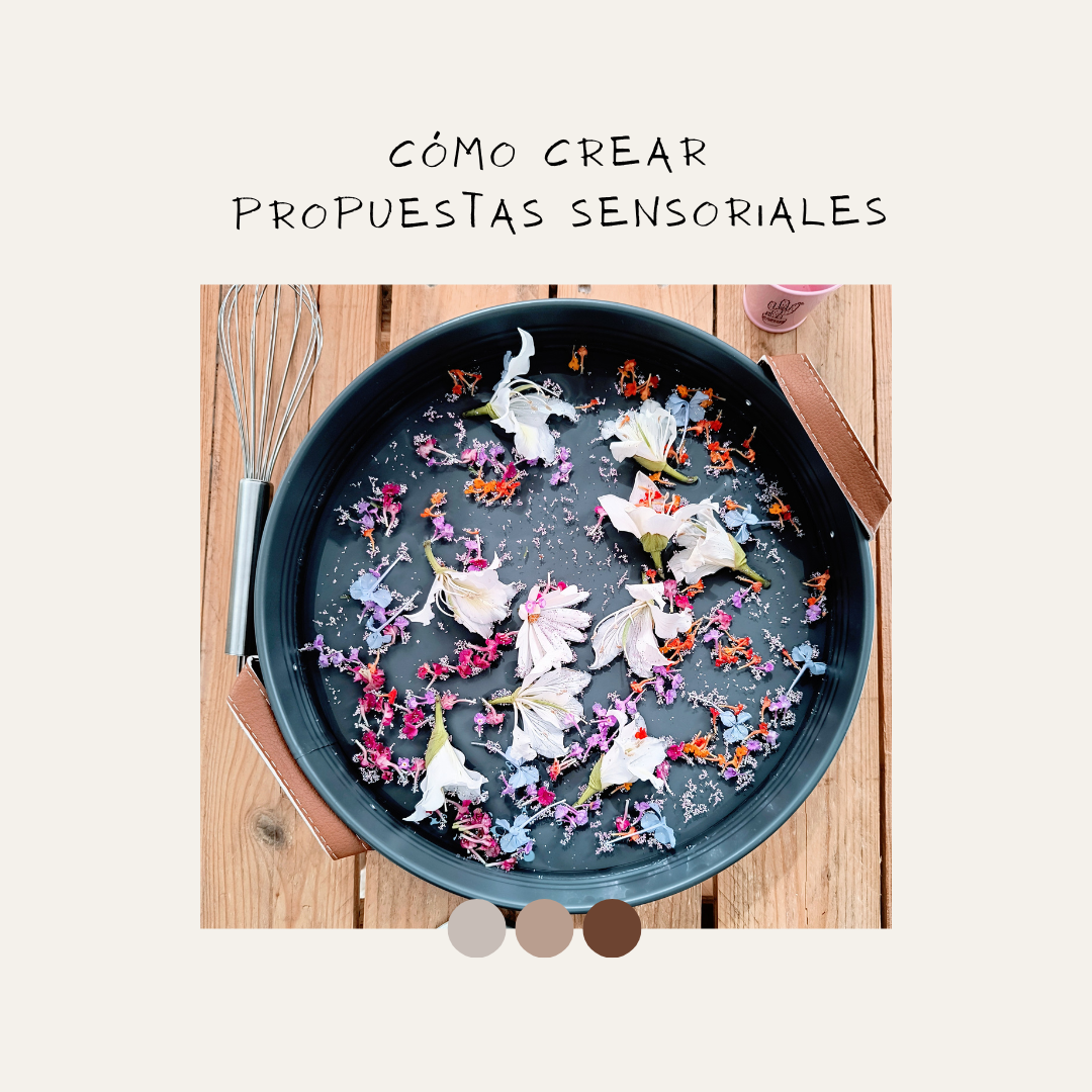 Guía práctica: Cómo crear propuestas sensoriales