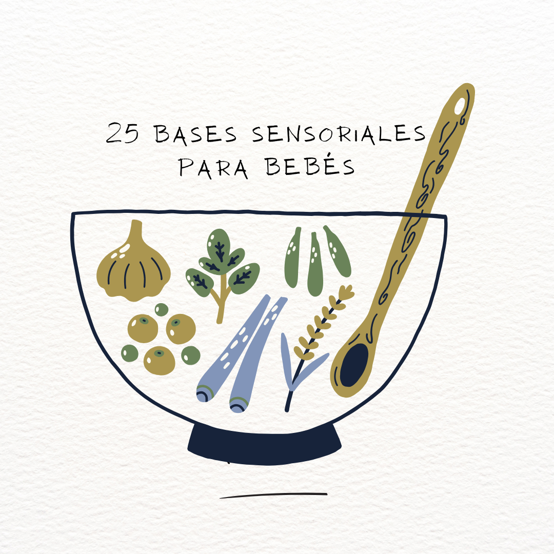 25 Bases sensoriales