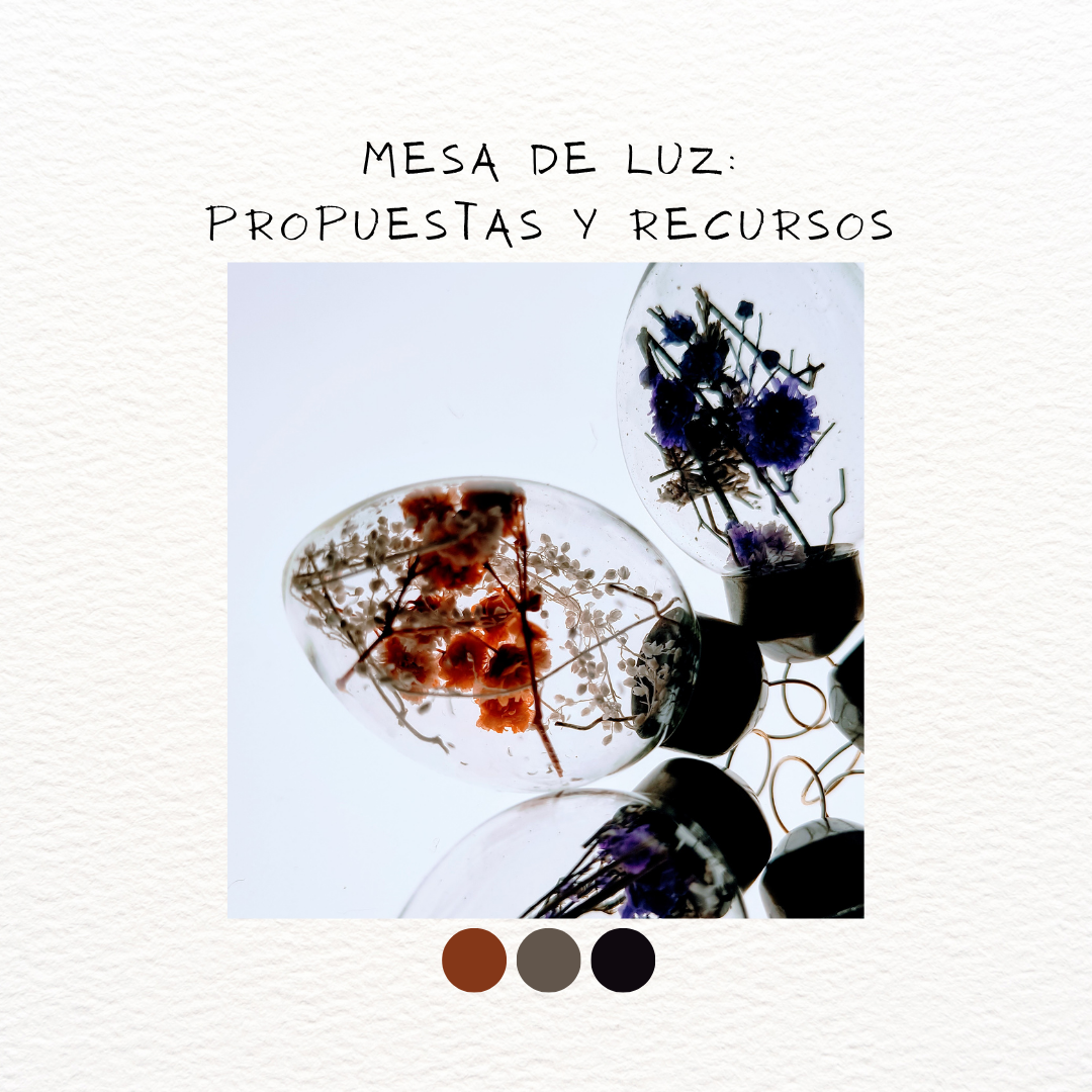 Propuestas Mesa de Luz
