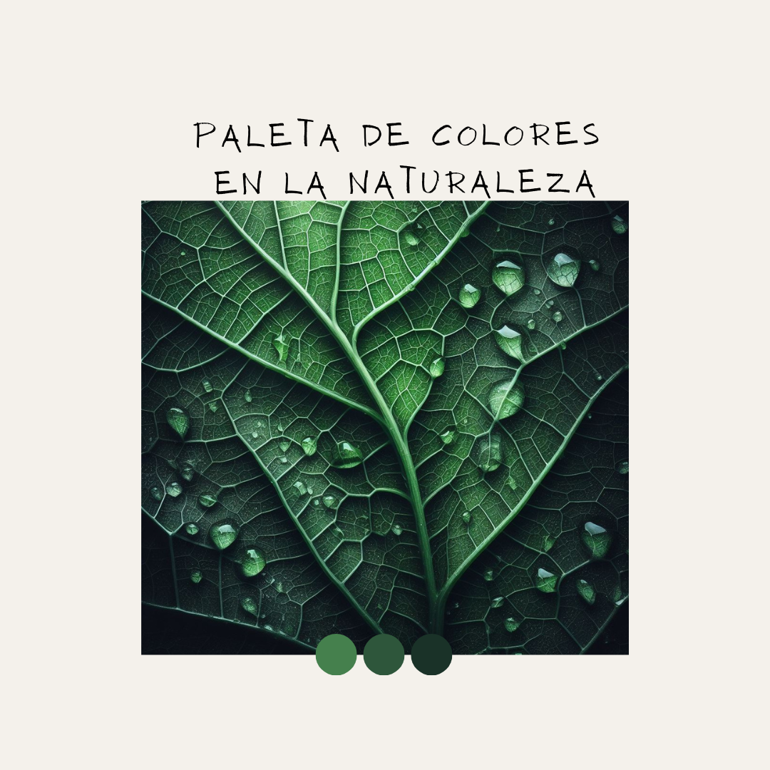 Paleta de colores en la naturaleza