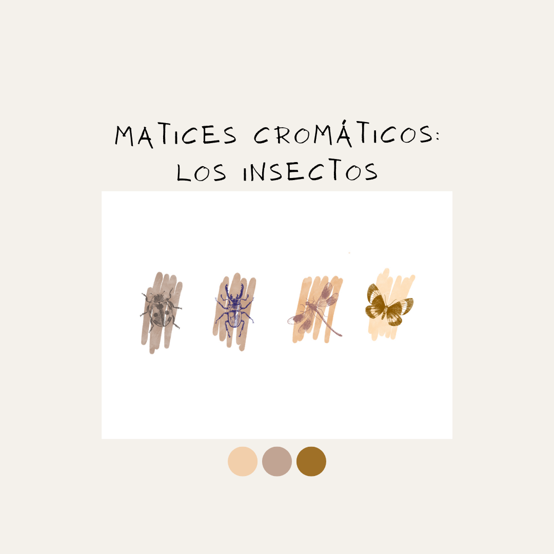 Matices cromáticos insectos