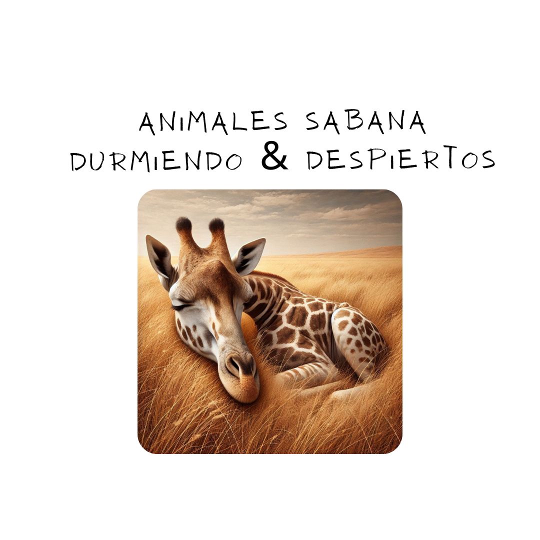 Animales Sabana Durmiendo&Despiertos