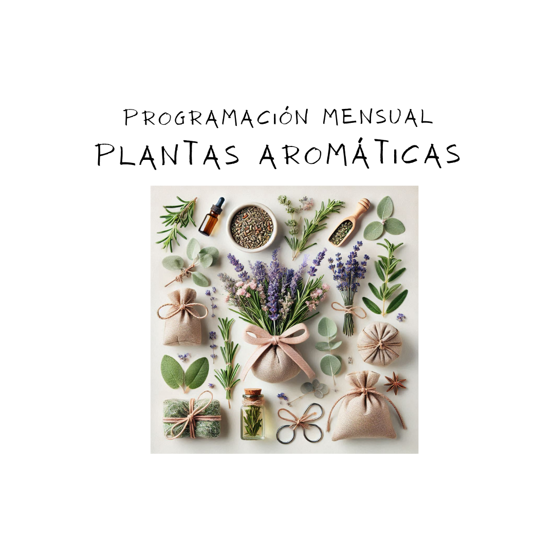 Programación mensual Plantas Aromáticas