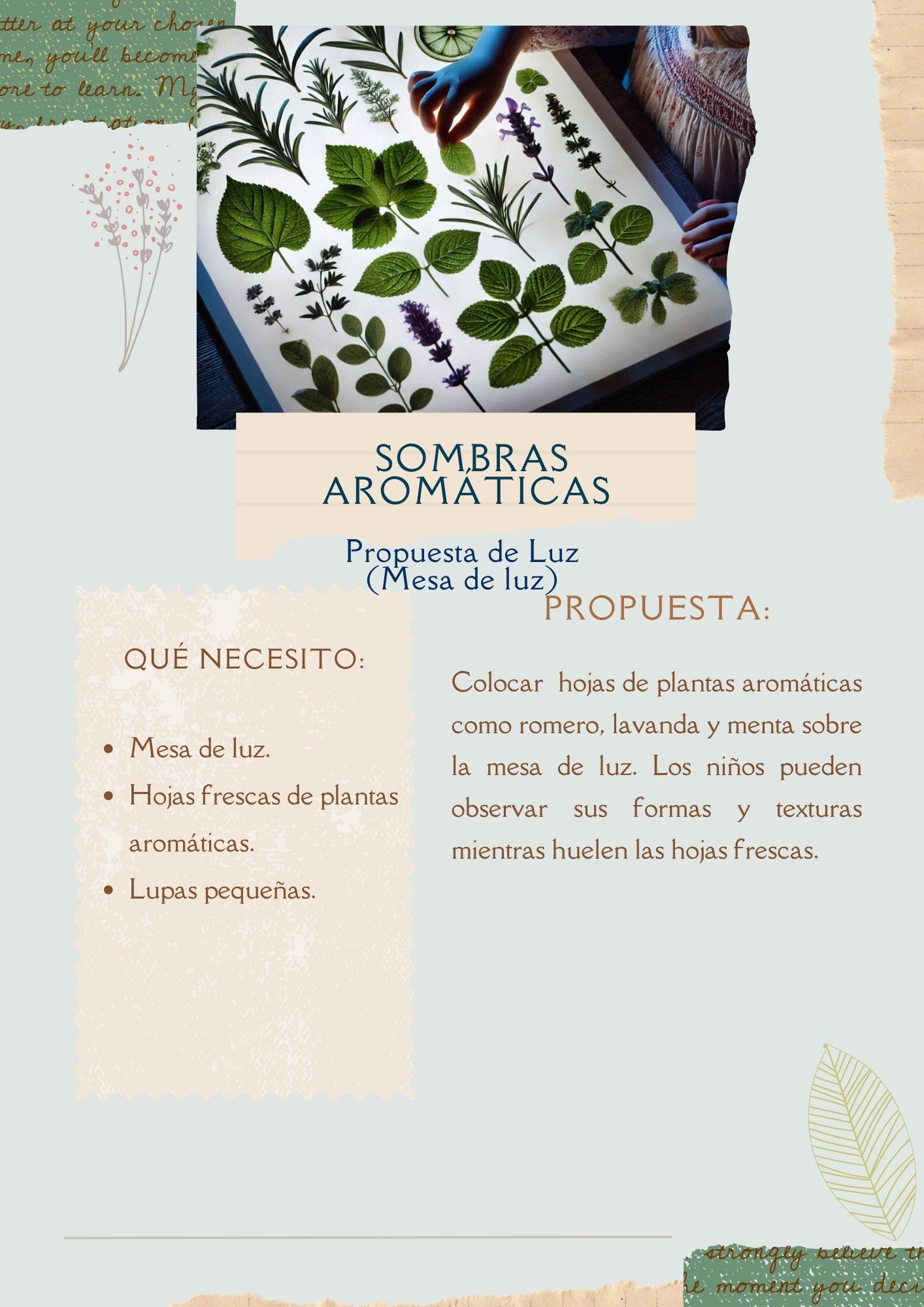 Programación mensual Plantas Aromáticas