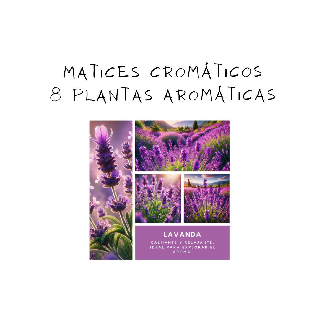 Matices cromáticos de 8 Plantas Aromáticas 