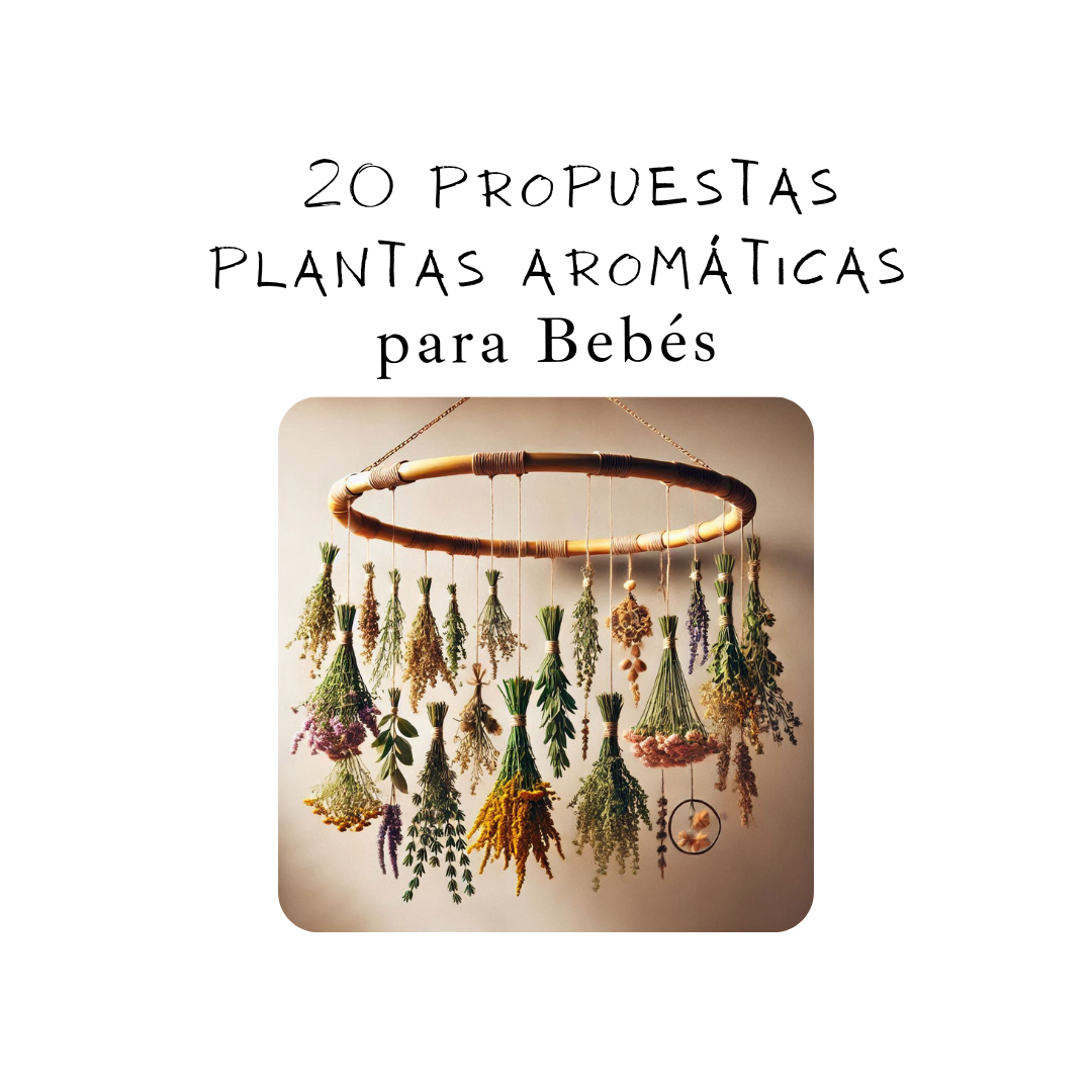 20 Propuestas sensoriales con plantas aromáticas para bebés