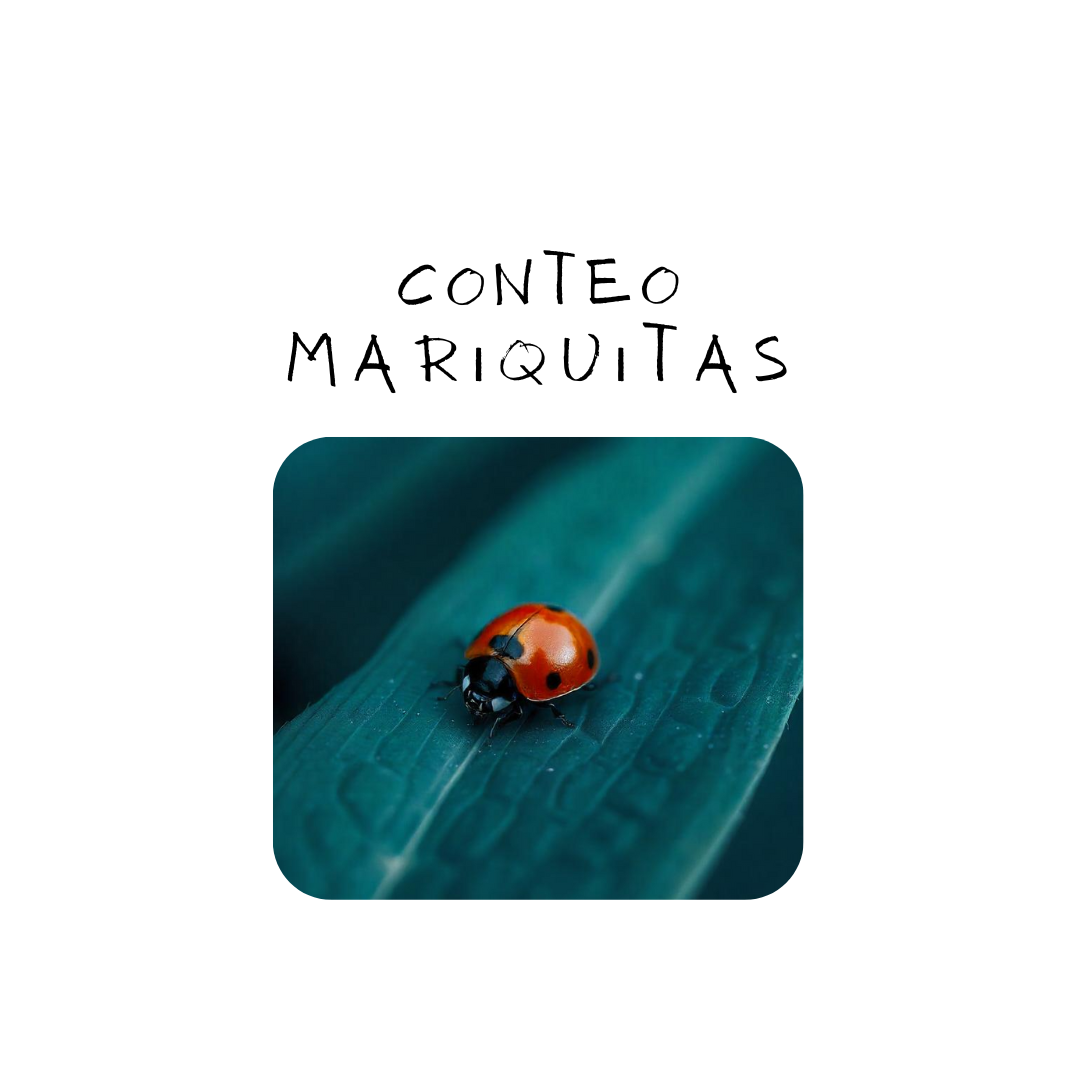 Conteo mariquitas