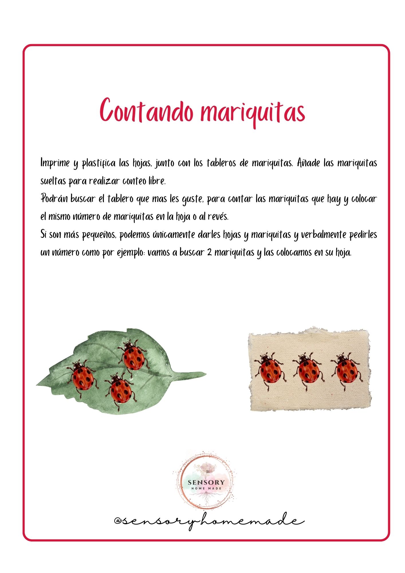 Conteo mariquitas