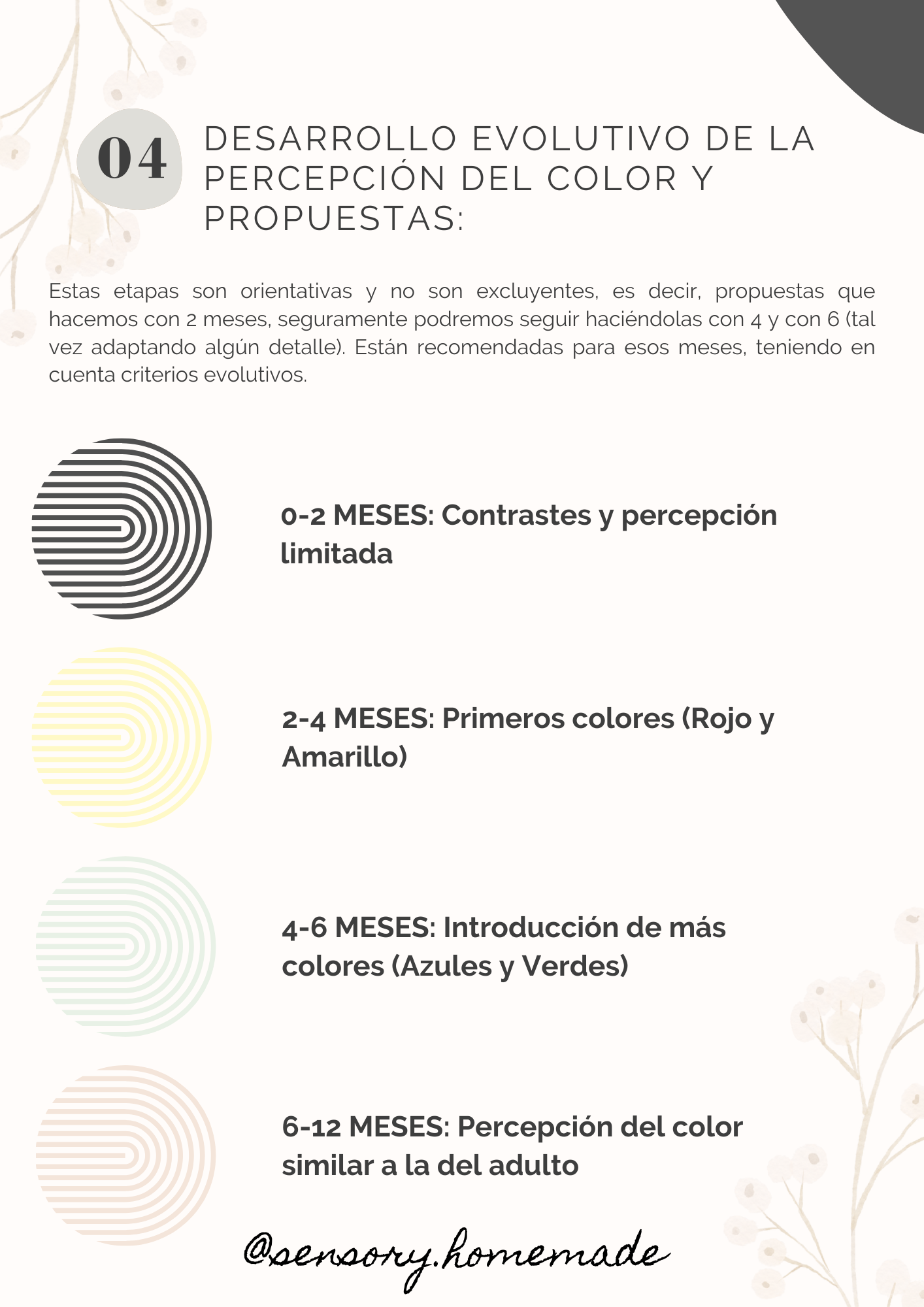 Propuestas del desarrollo de los colores 0-12 meses