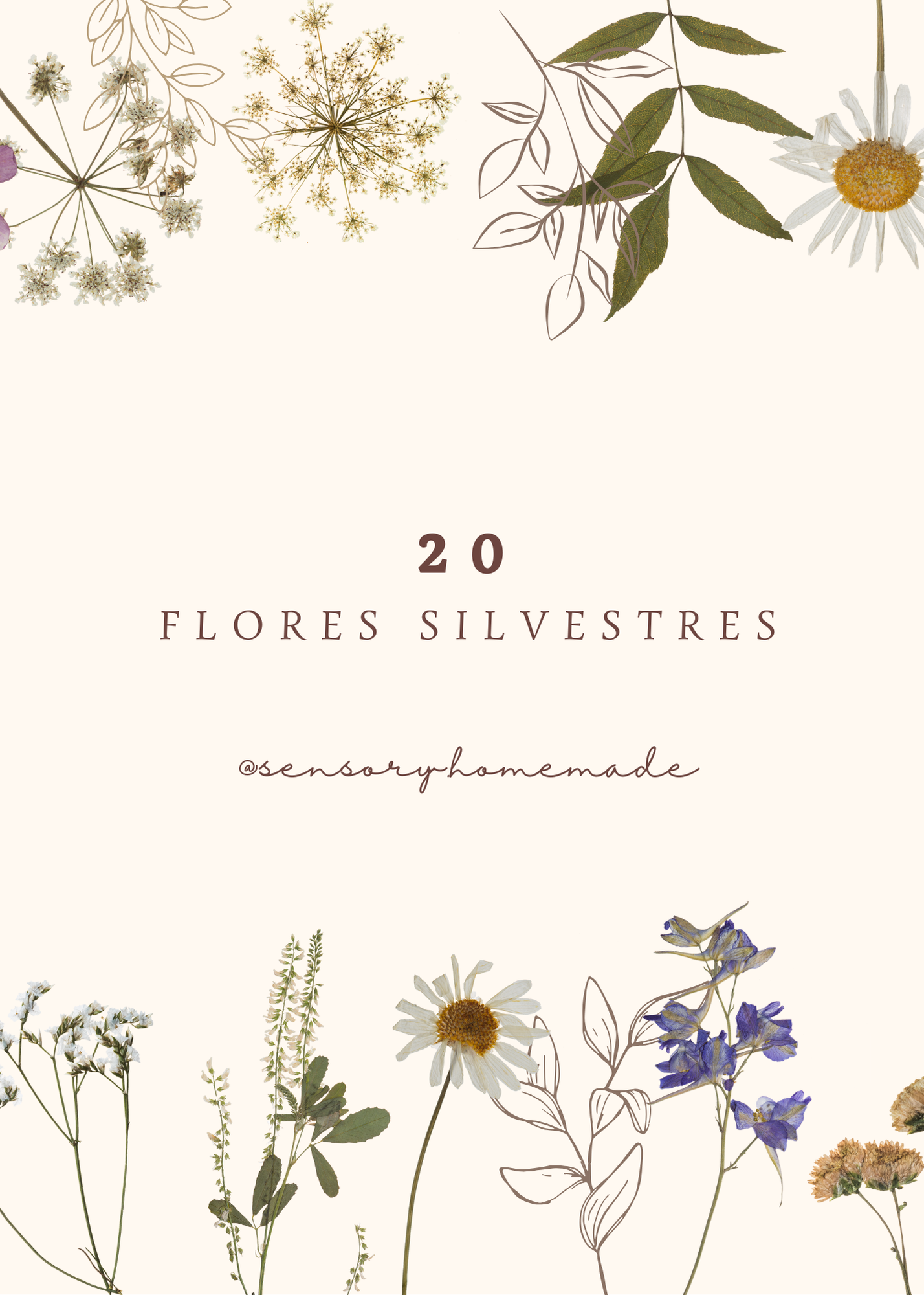 20 Flores silvestres
