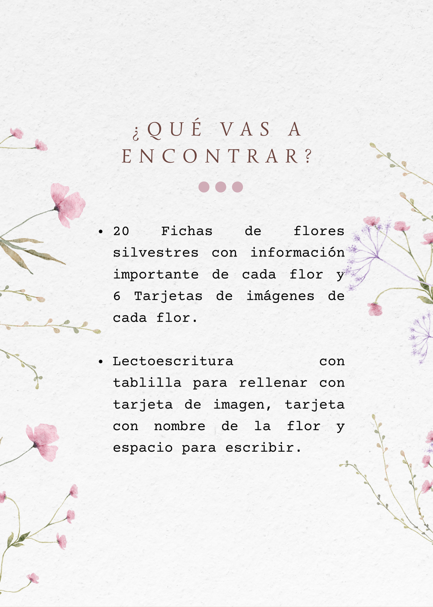 20 Flores silvestres