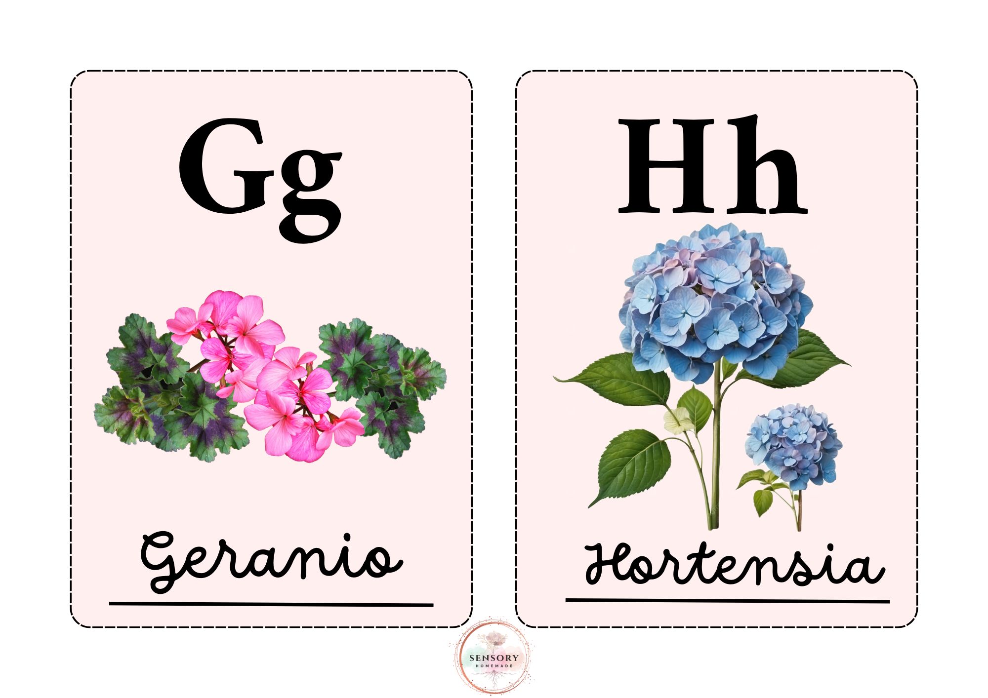 Abecedario Floral completo