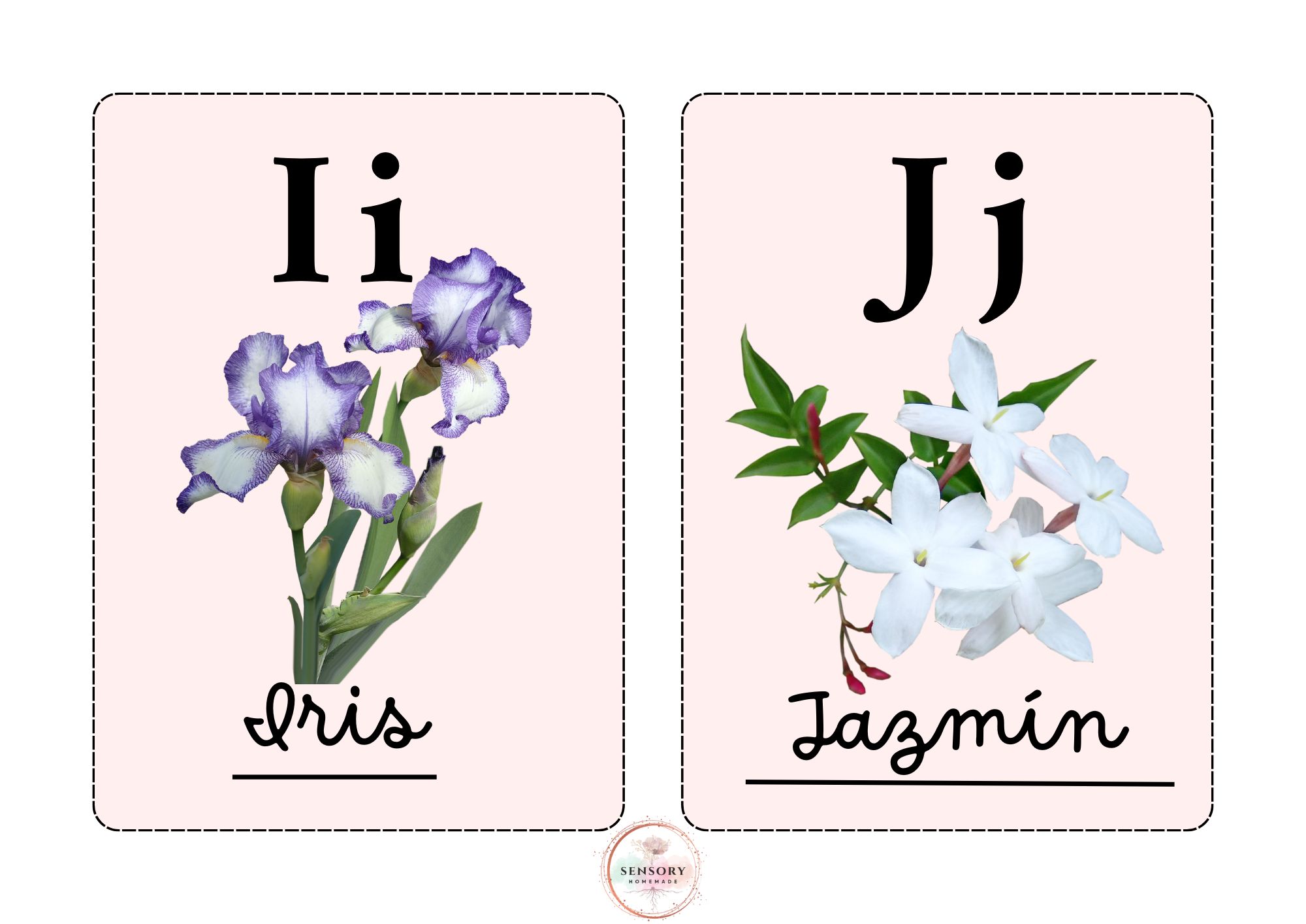 Abecedario Floral completo