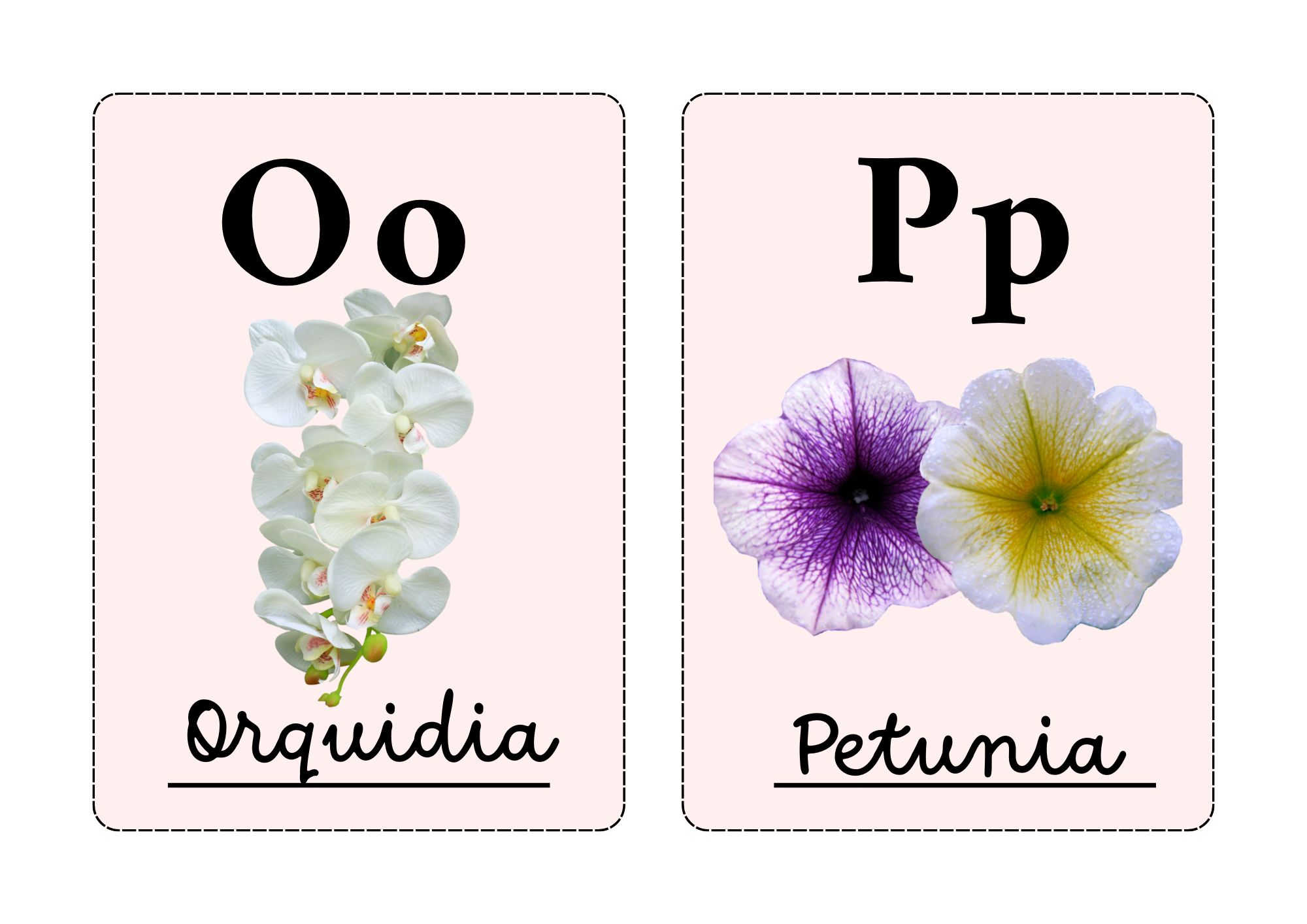 Abecedario Floral completo