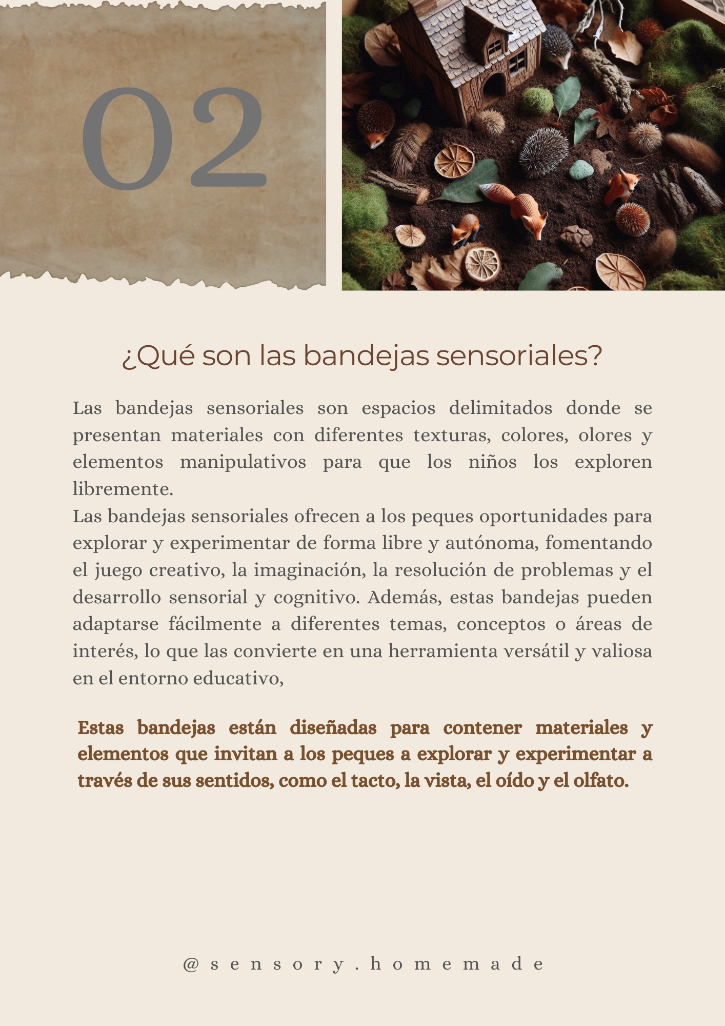 Bandejas sensoriales & Minimundos 