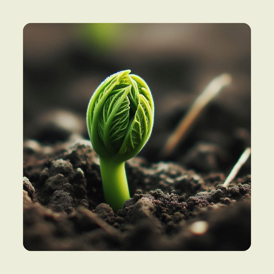 Ciclo de vida de la naturaleza