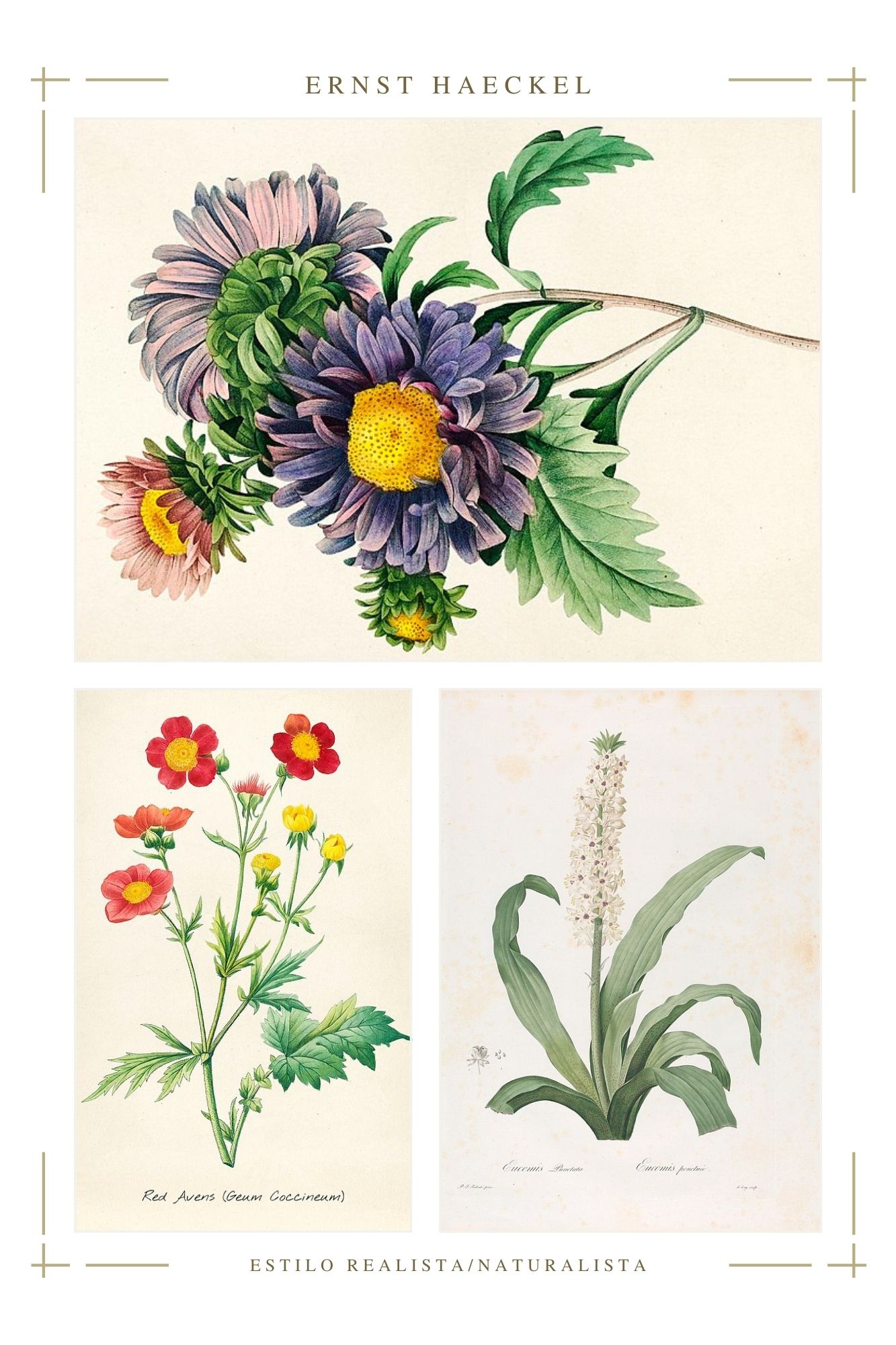La naturaleza en el arte