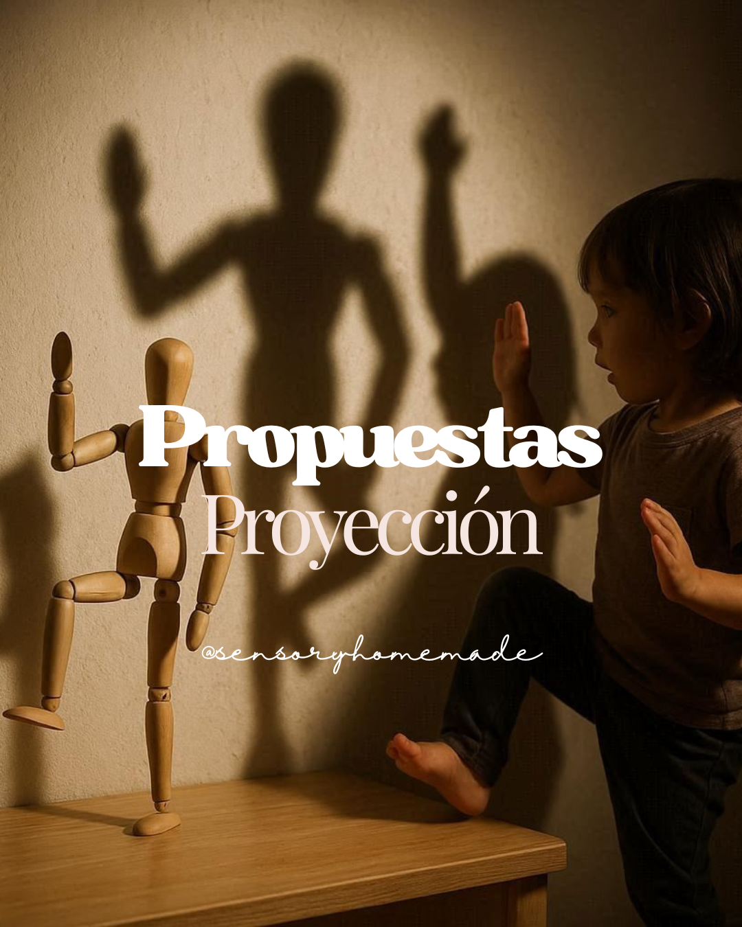 20 Propuestas de proyección