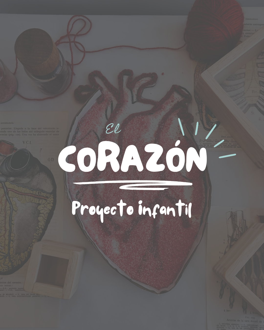 Proyecto El corazón
