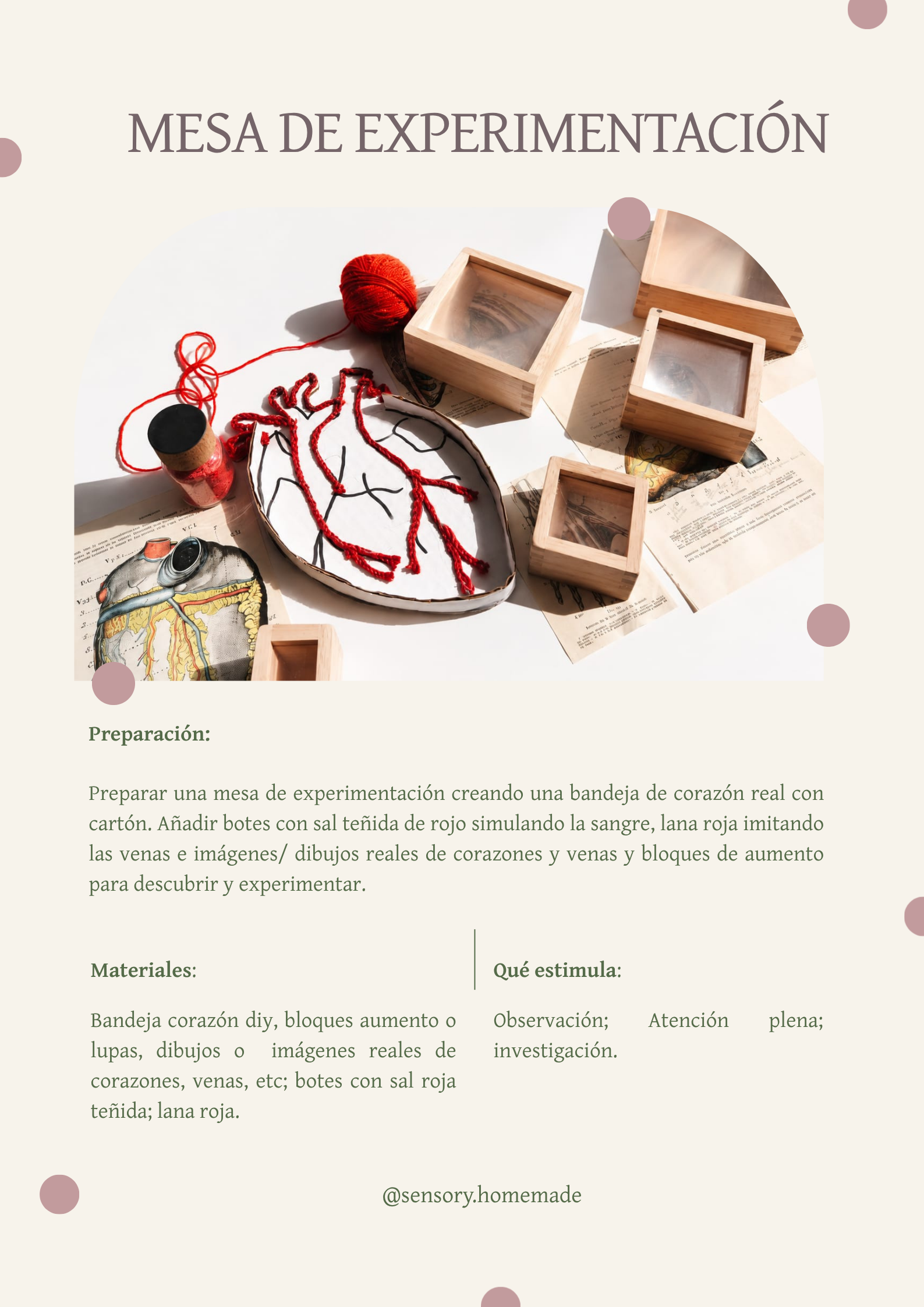 Proyecto El corazón