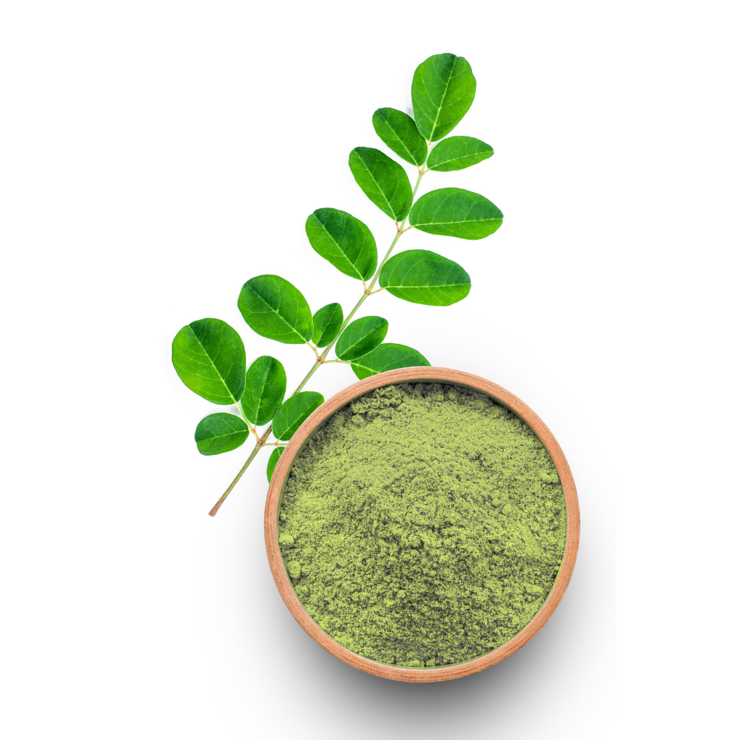Poudre de moringa