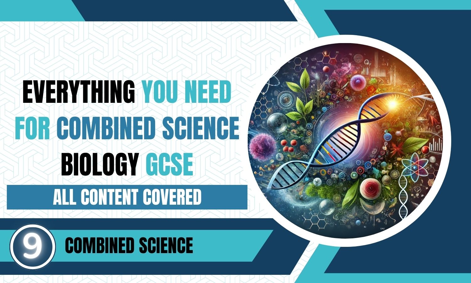 Combined Science: Biology Revision Posters - All Topics