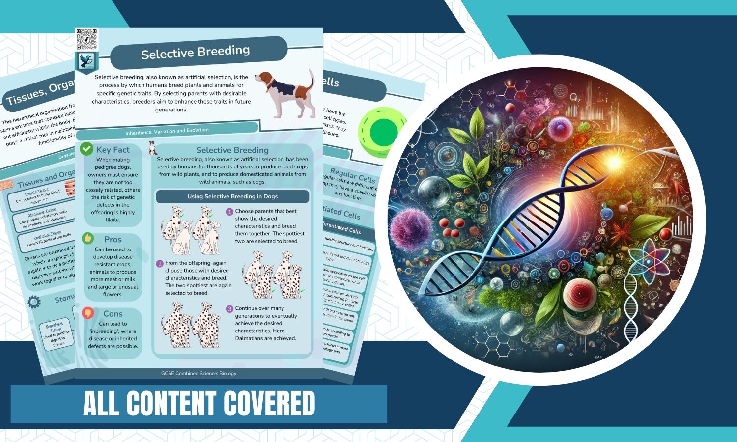 Combined Science: Biology Revision Posters - All Topics