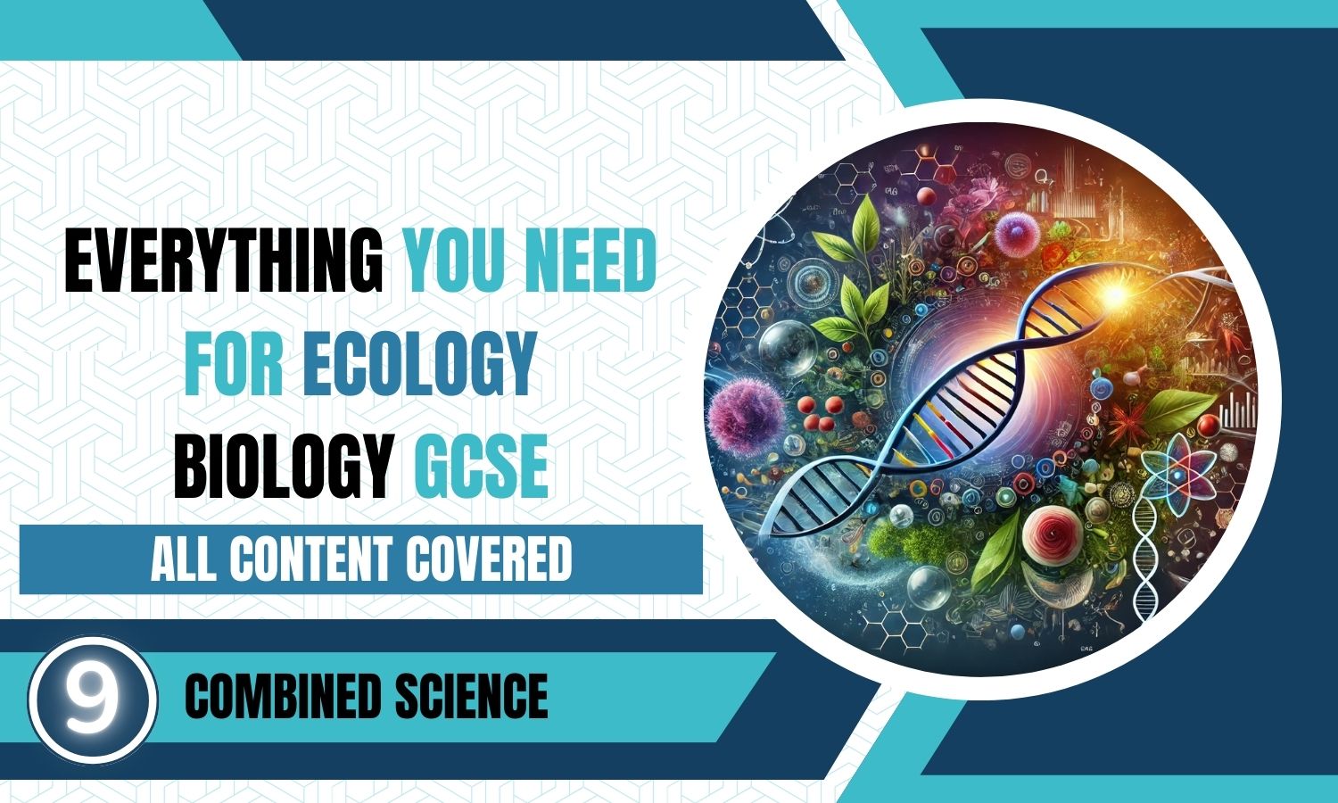 Combined Science: Biology Revision Posters - Ecology