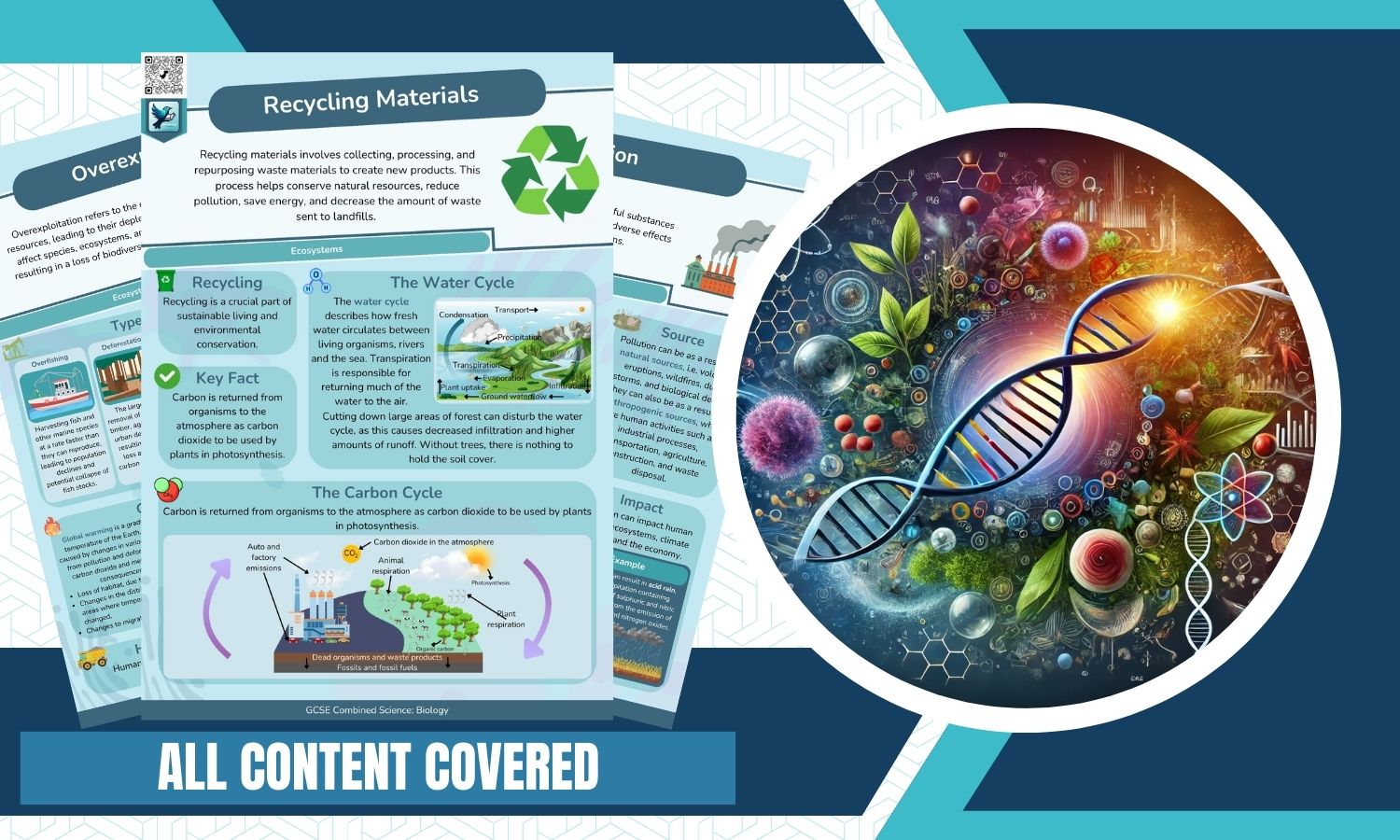 Combined Science: Biology Revision Posters - Ecology