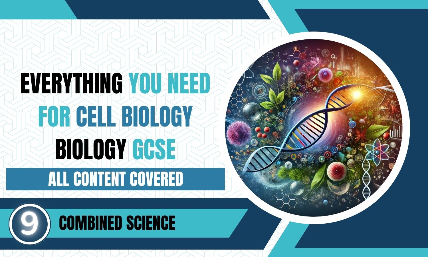 Combined Science: Biology Revision Posters - Cell Biology