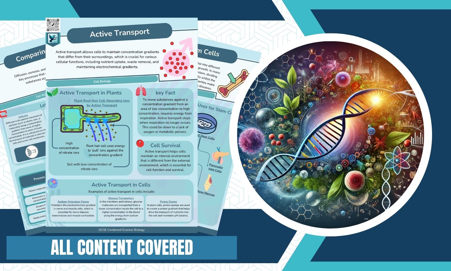 Combined Science: Biology Revision Posters - Cell Biology