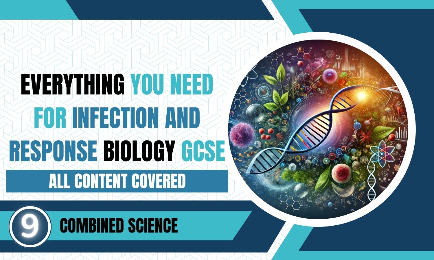 Combined Science: Biology Revision Posters - Infection and Response