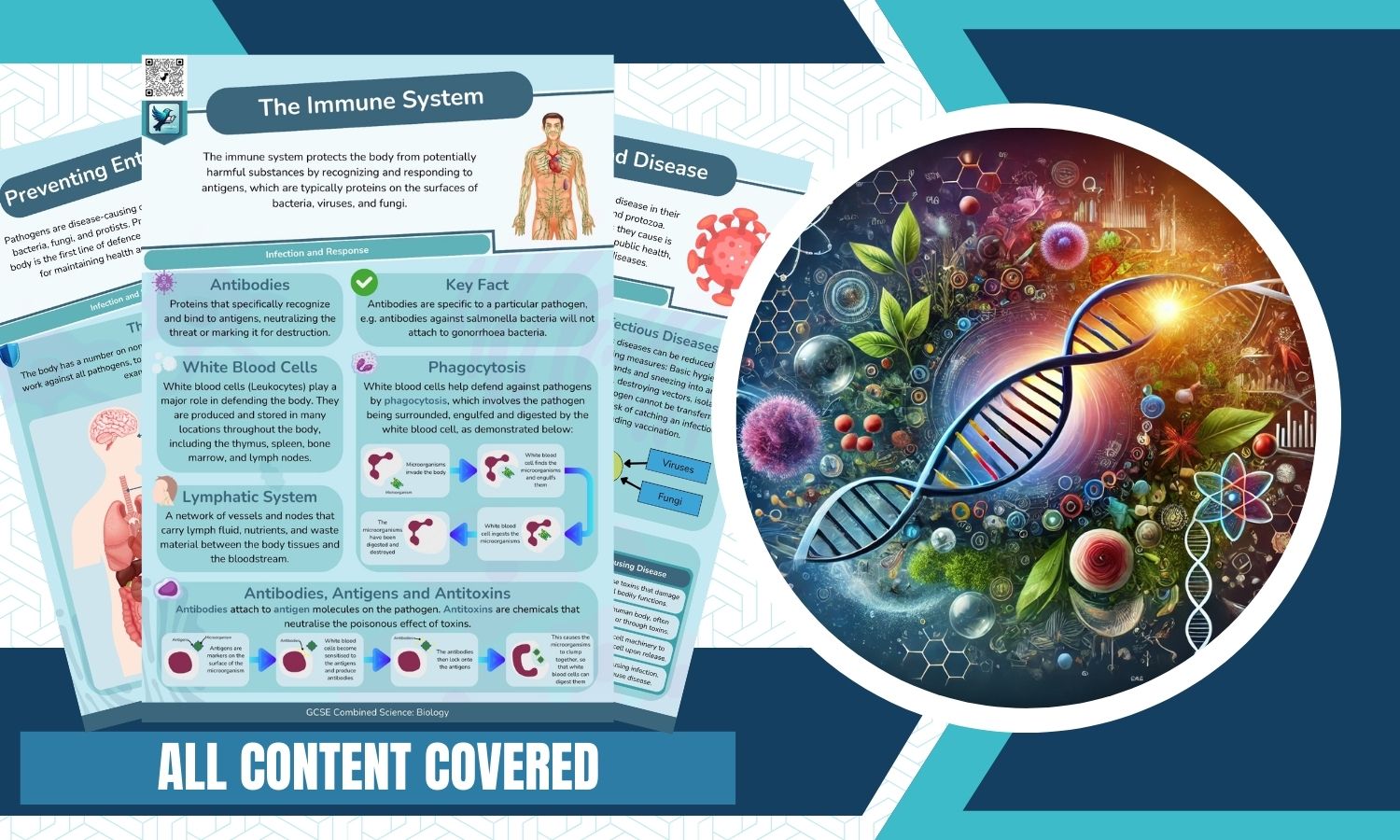 Combined Science: Biology Revision Posters - Infection and Response
