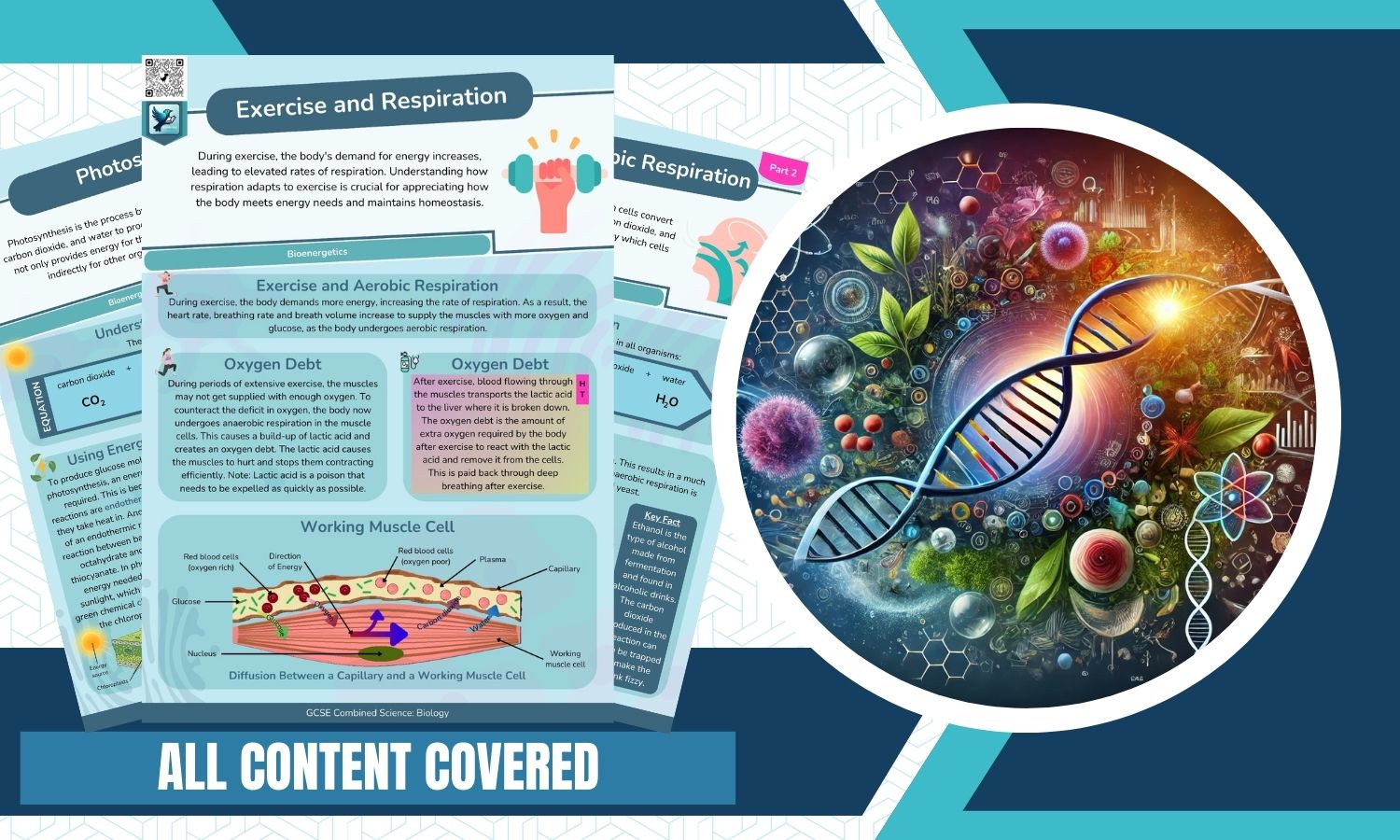 Combined Science: Biology Revision Posters - Bioenergetics