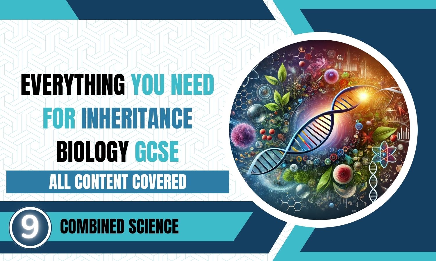 Combined Science: Biology Revision Posters - Inheritance, Variation and Evolution