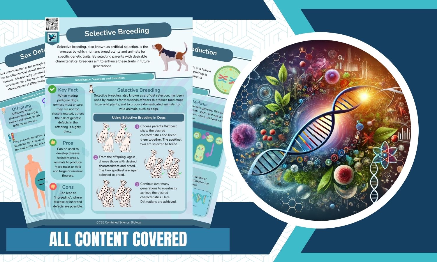 Combined Science: Biology Revision Posters - Inheritance, Variation and Evolution