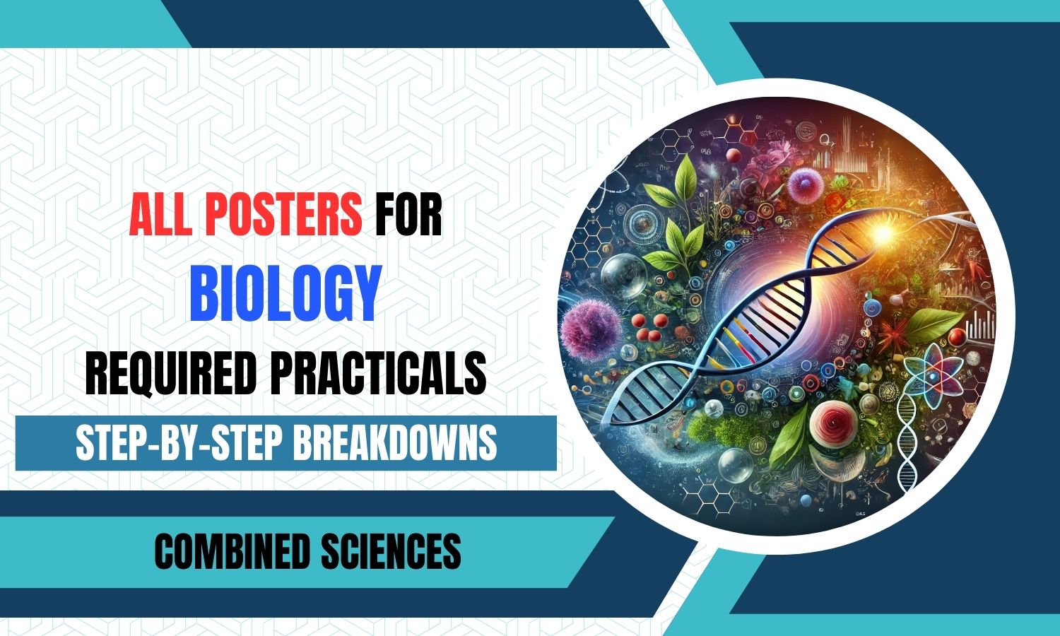 Combined Science: Biology Required Practicals - All Topics