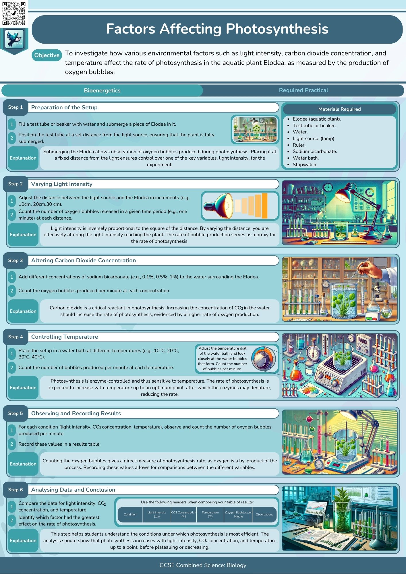Combined Science: Biology Required Practicals - All Topics