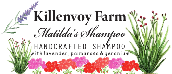 Matilda's Shampoo bar