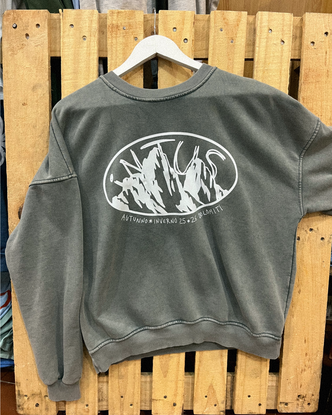 Sudadera gris INTUS