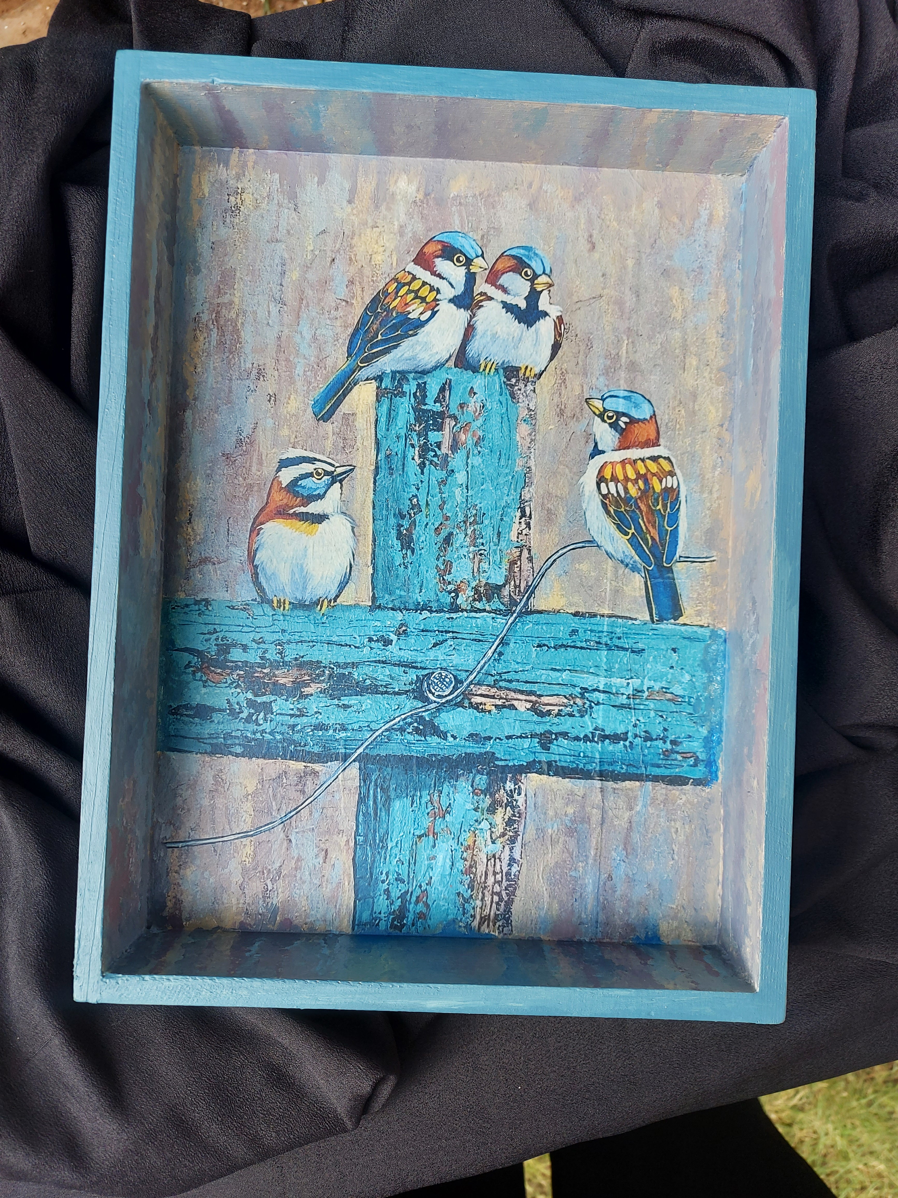 Perched in Blue Tray