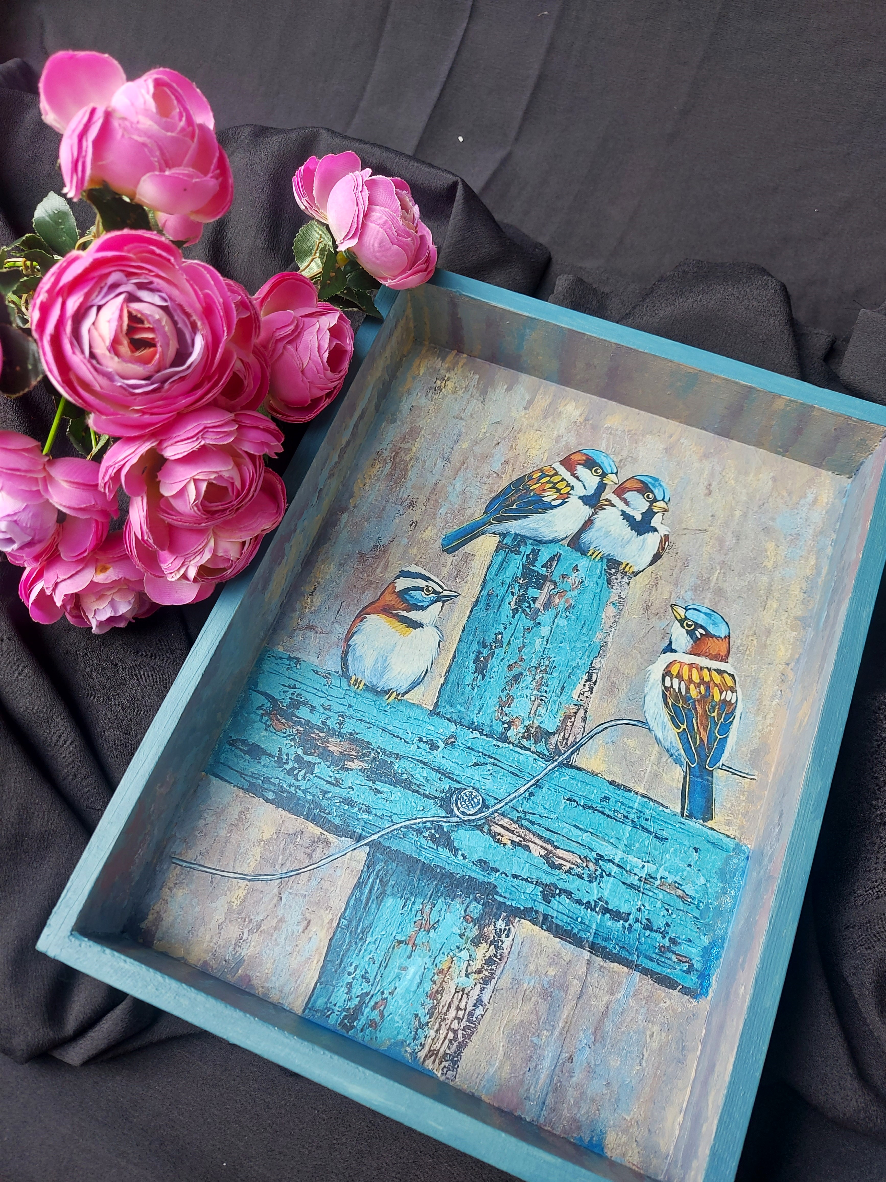 Perched in Blue Tray