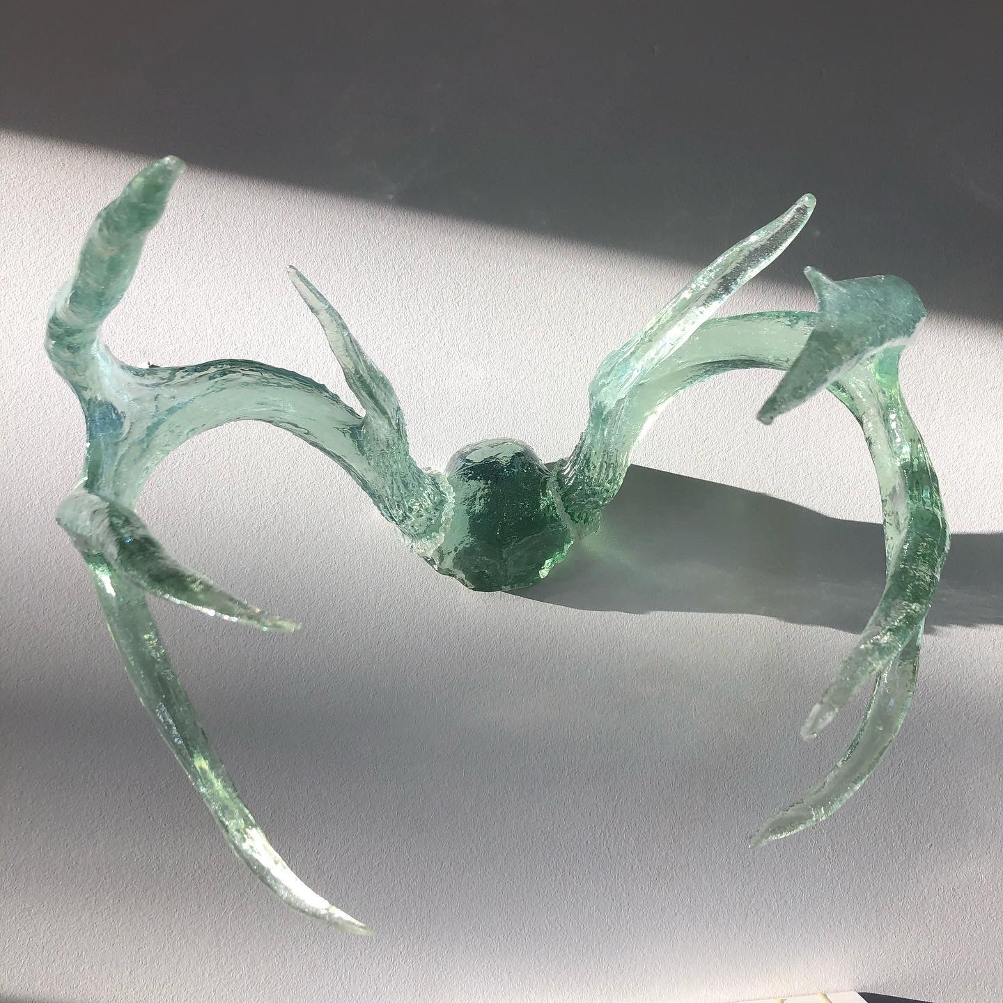 Regular Resin antlers