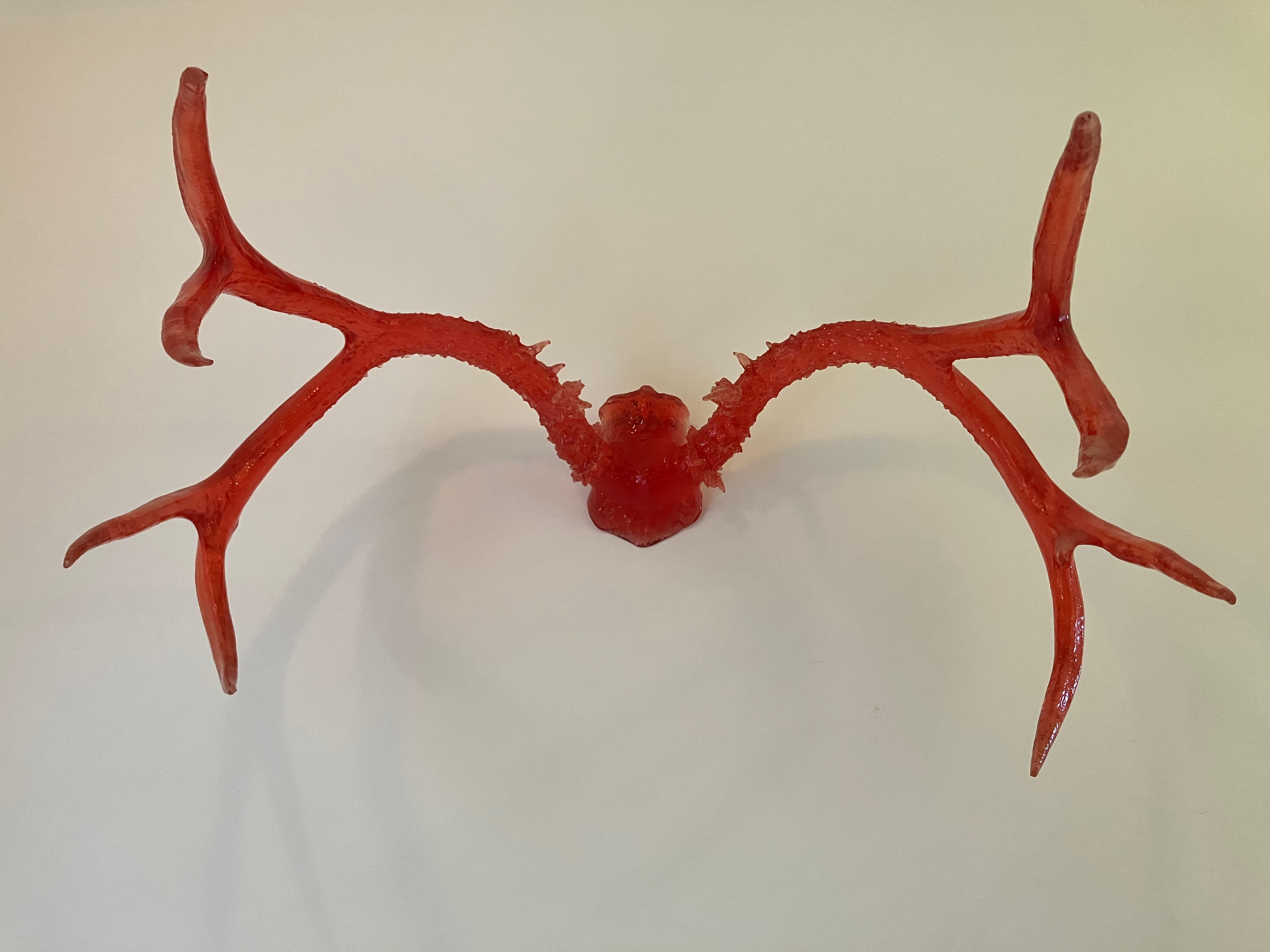 Extra Large Resin Antlers
