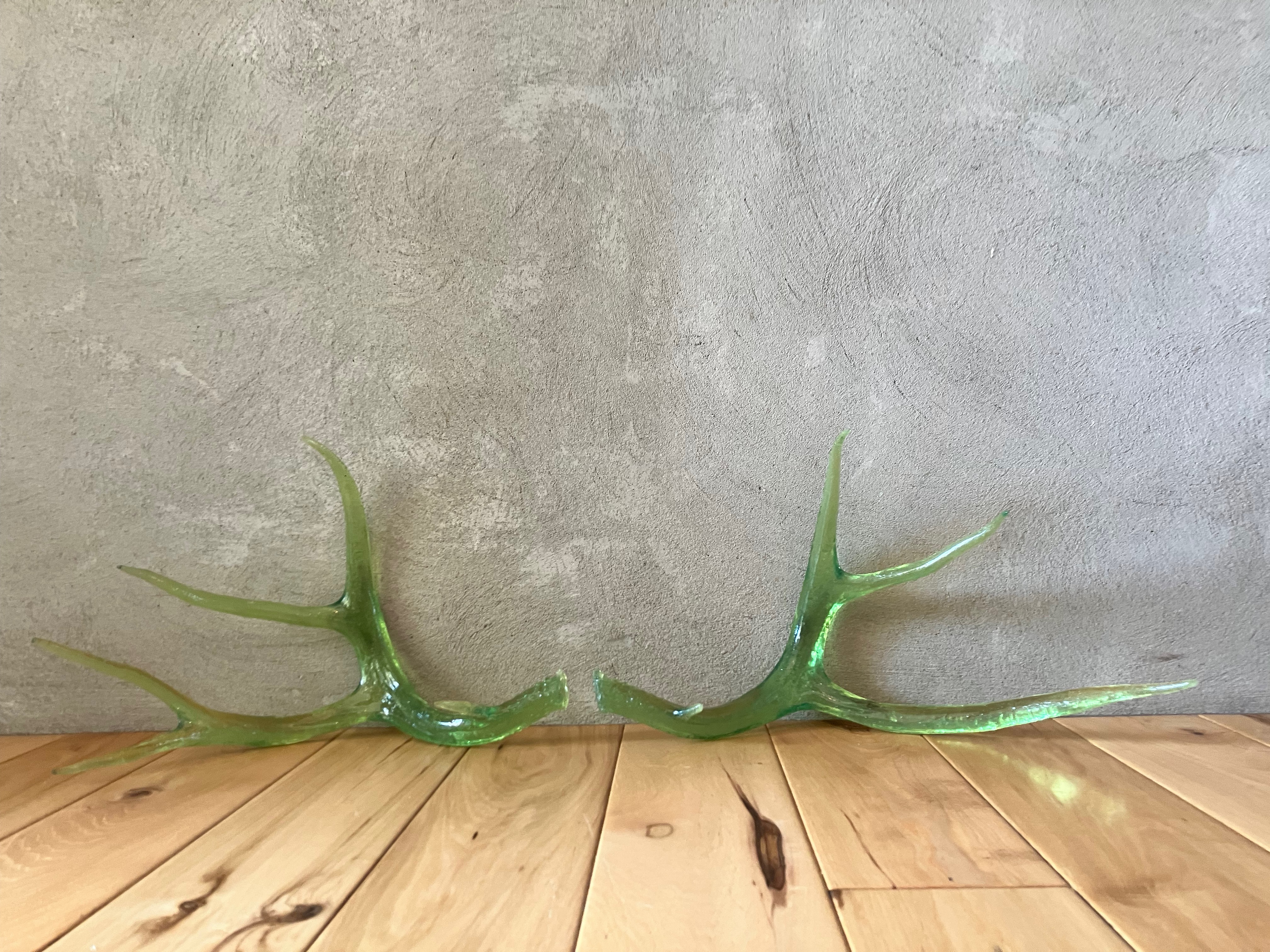 Large Transparent Shed Resin Antlers (Pair)