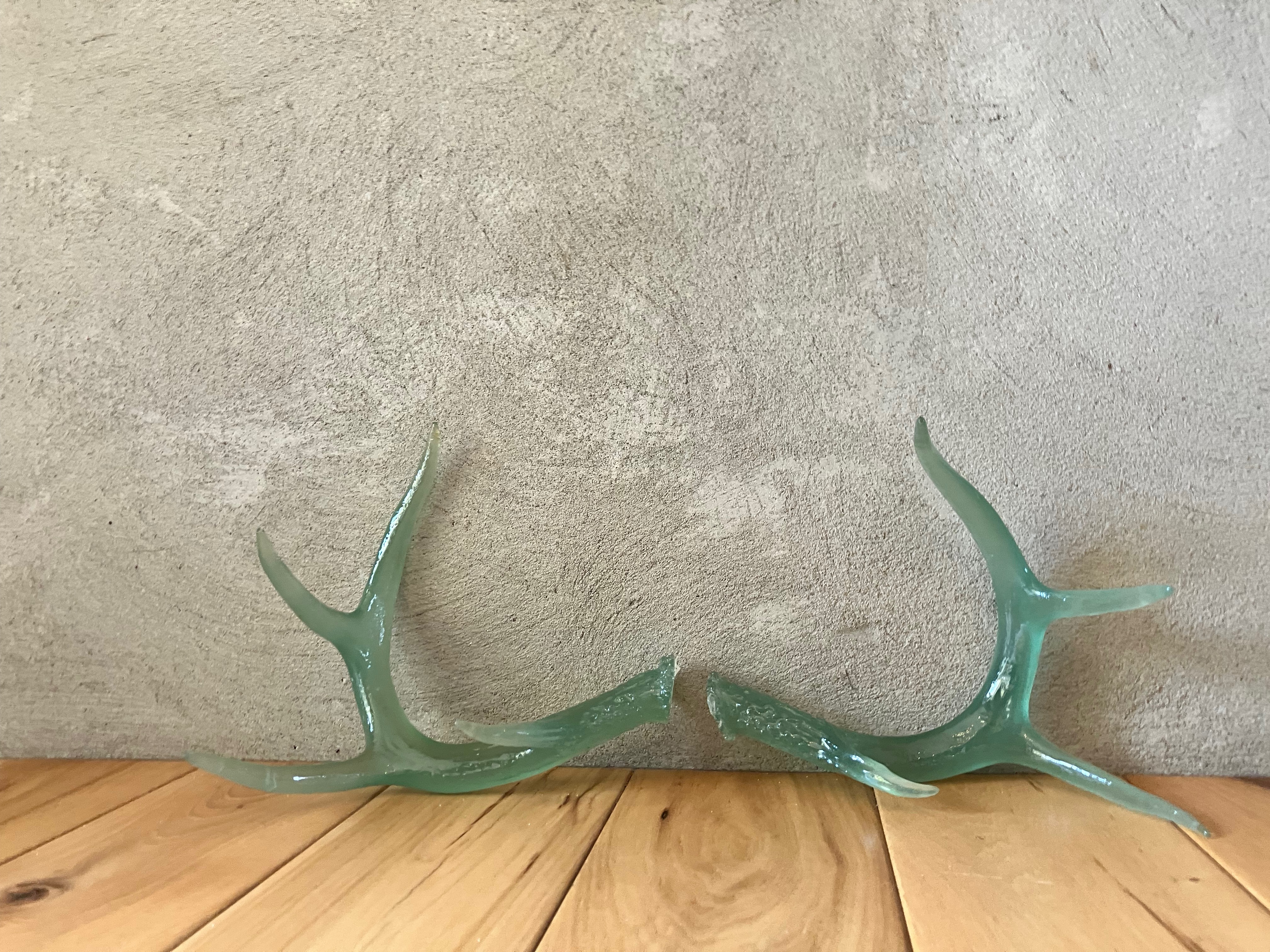 Small Translucent  Resin Shed Antlers