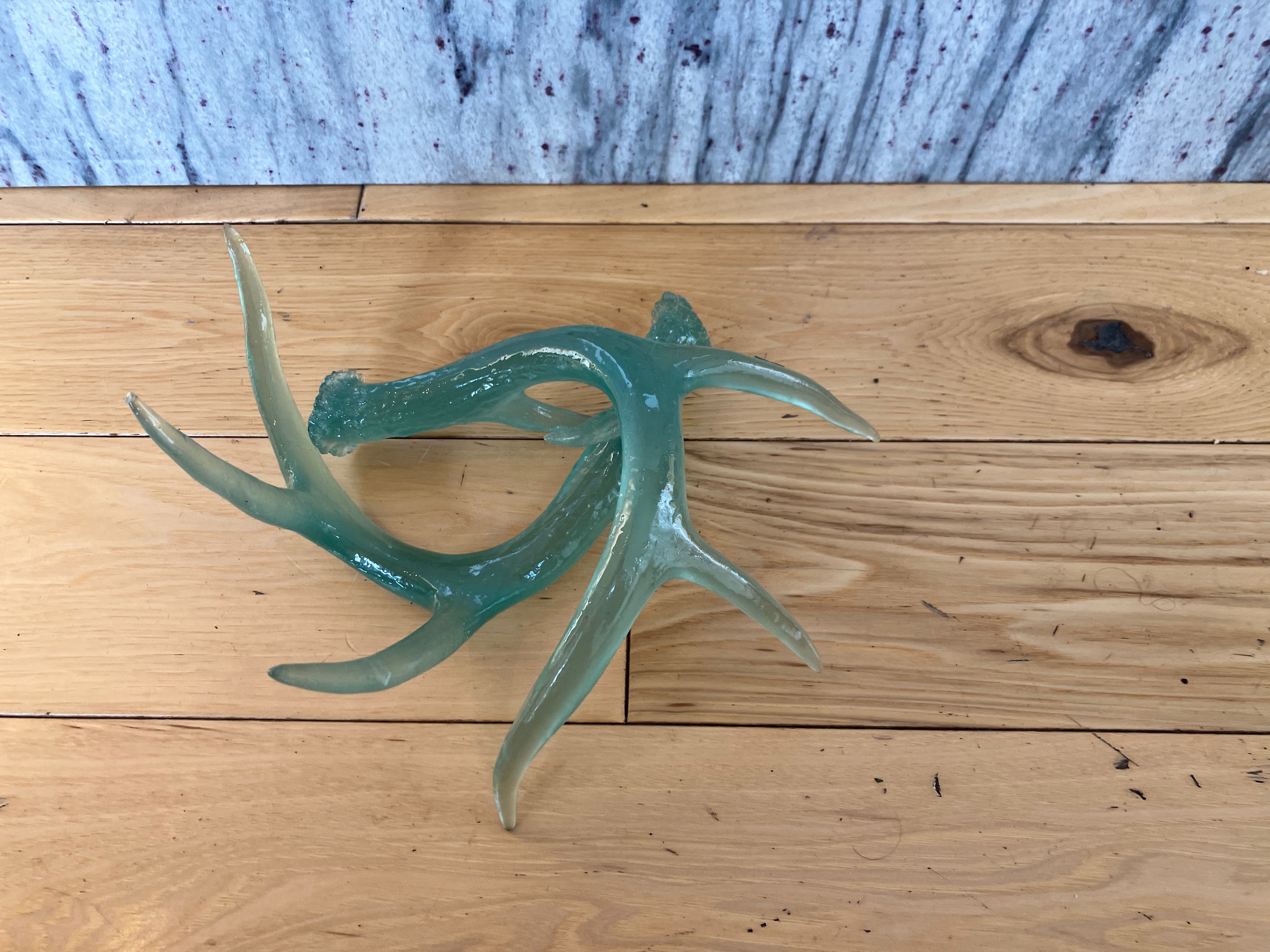 Small Translucent  Resin Shed Antlers