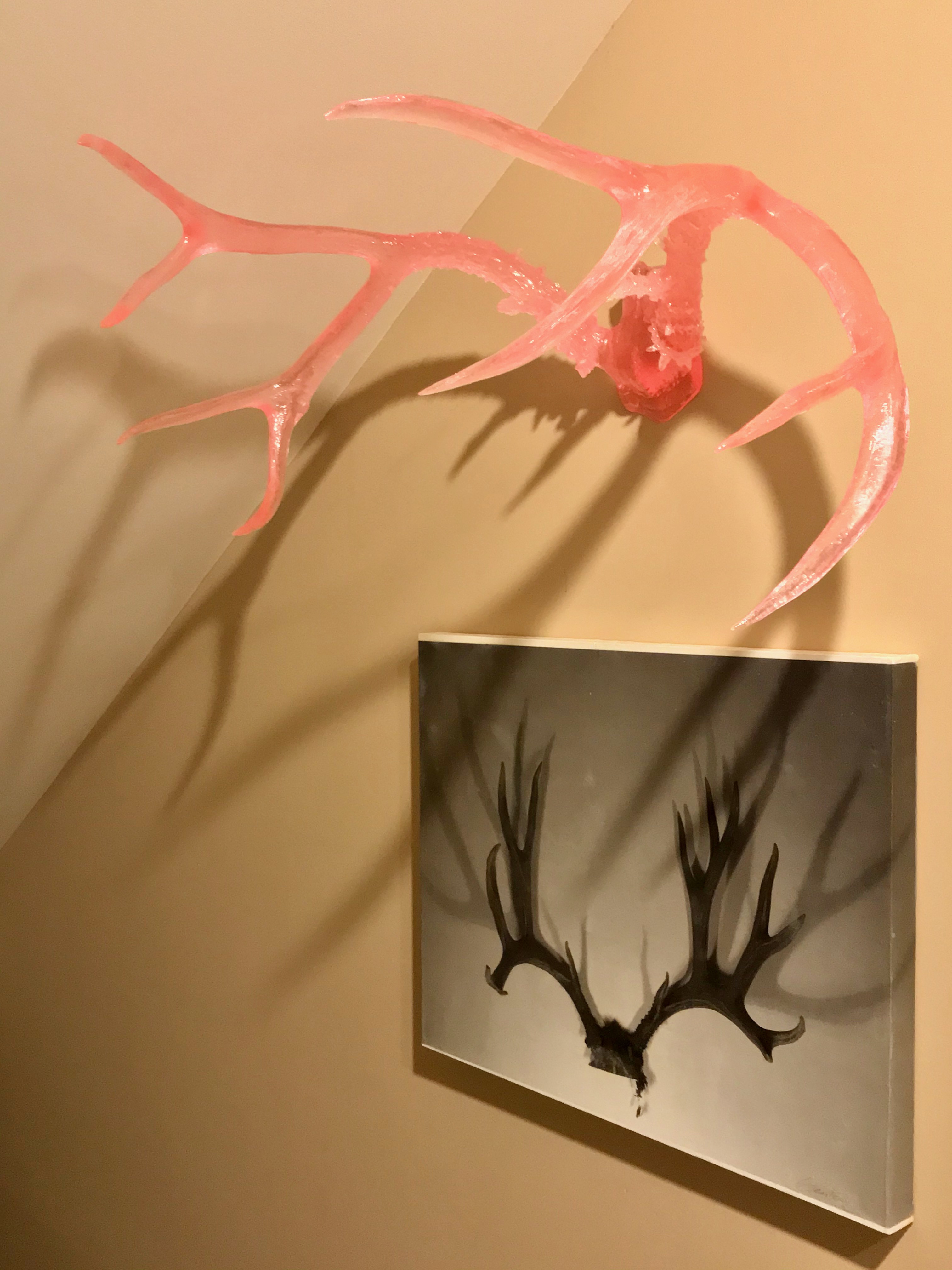 Extra Large Resin Antlers