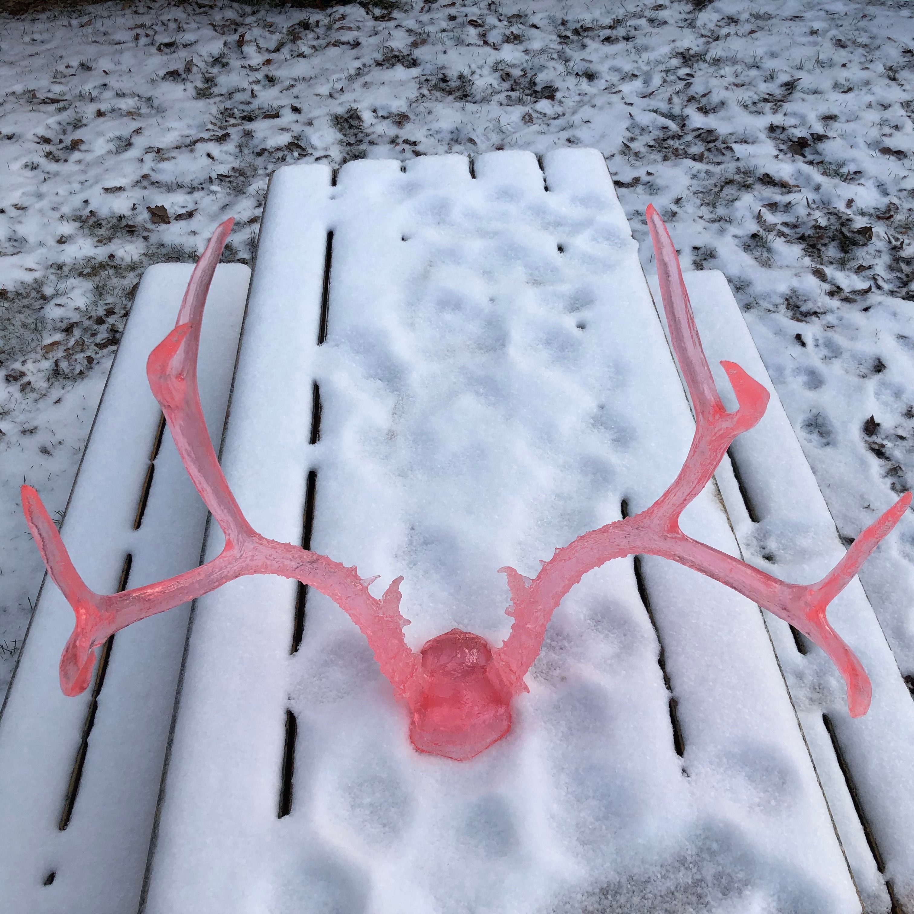 Extra Large Resin Antlers